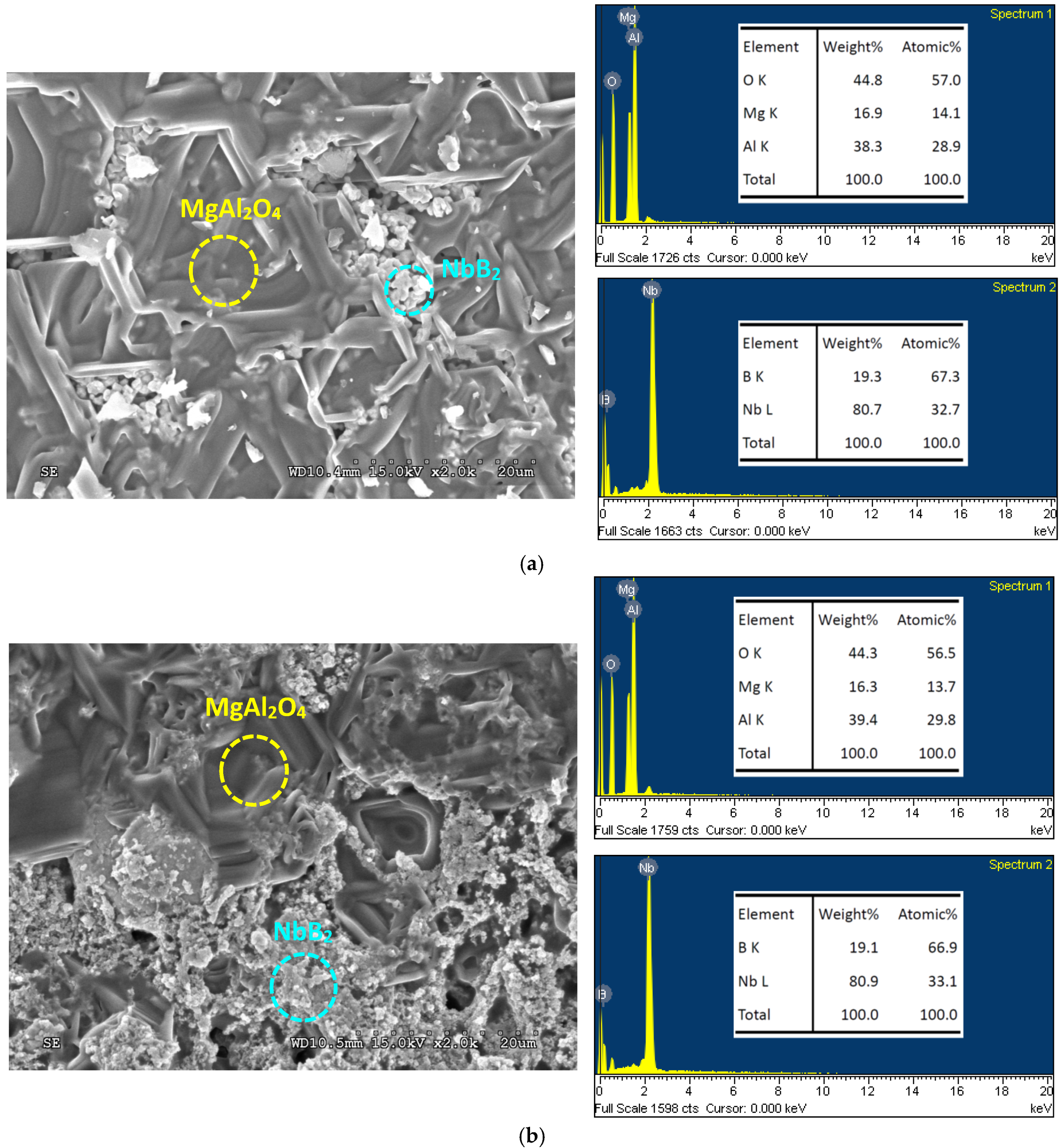 Crystals 10 00210 g008 Crystals 10 00210 g008