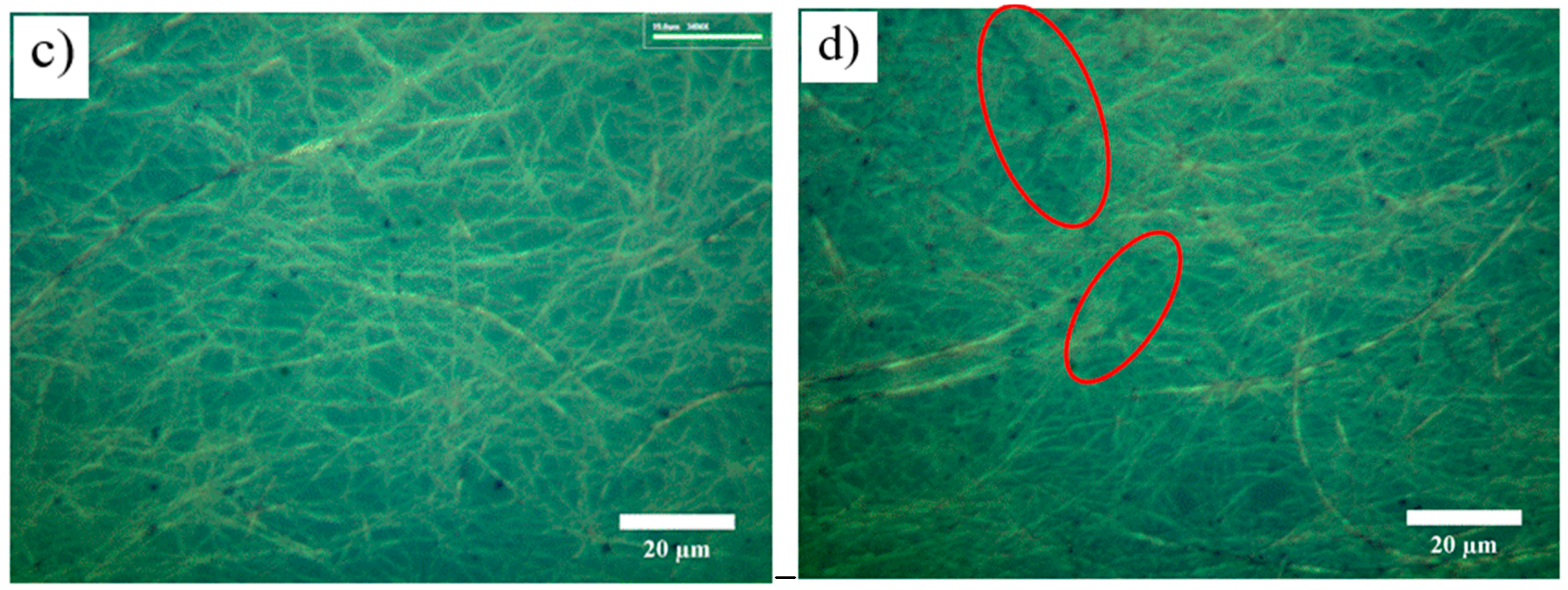 Crystals 10 00218 g009b