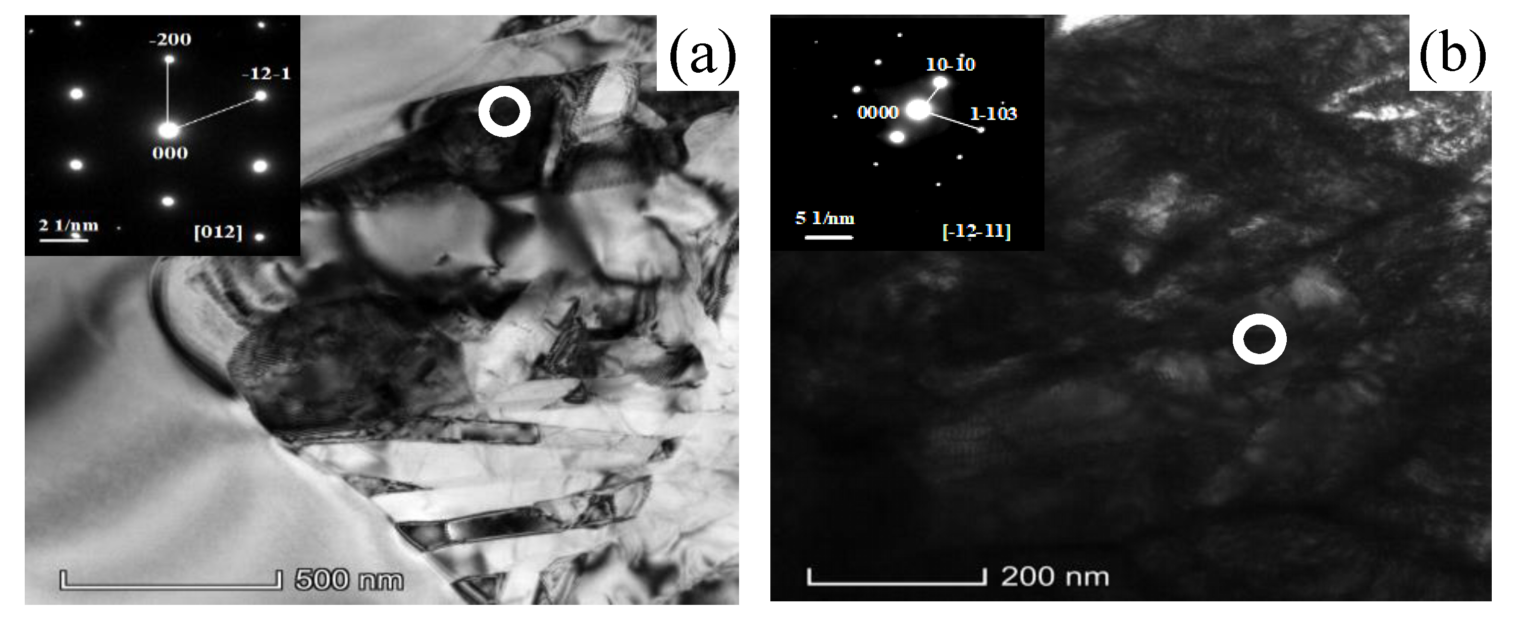 Crystals 10 00229 g010 Crystals 10 00229 g010