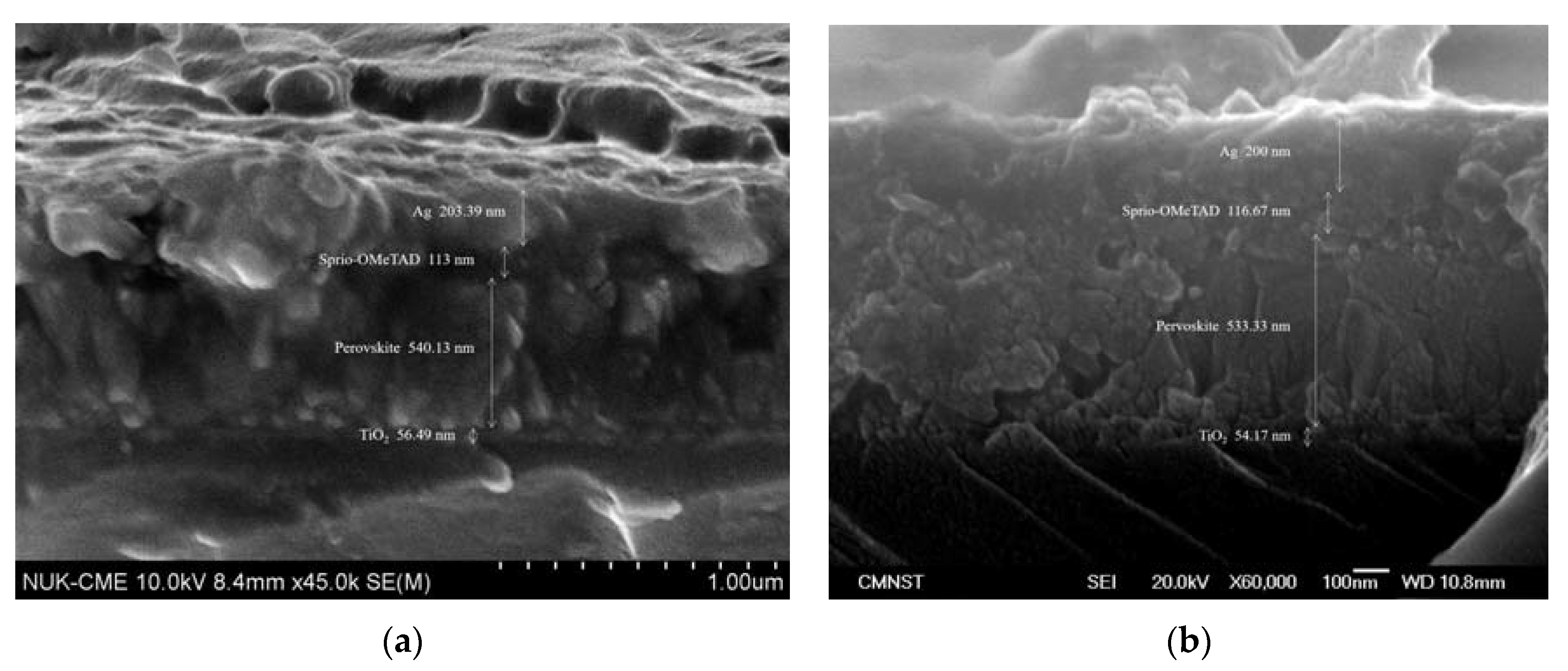 Crystals 10 00236 g005
