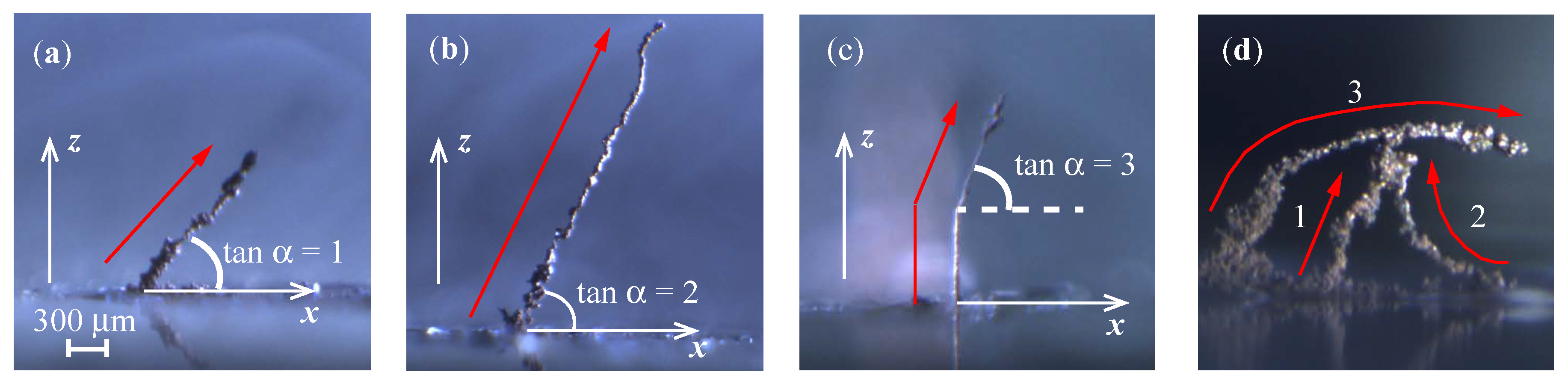 Crystals 10 00257 g010 Crystals 10 00257 g010