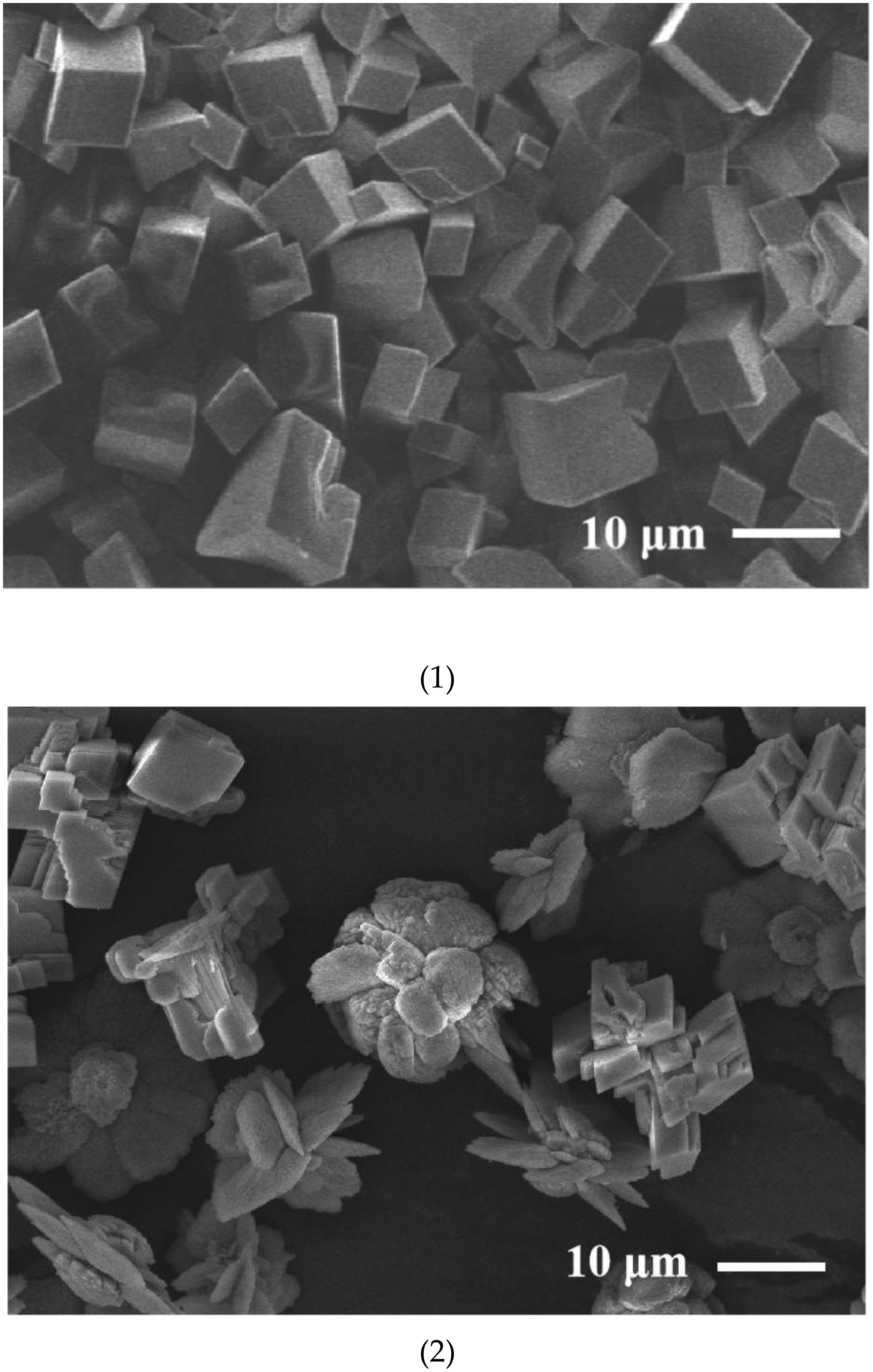 Crystals 10 00275 g001 Crystals 10 00275 g001