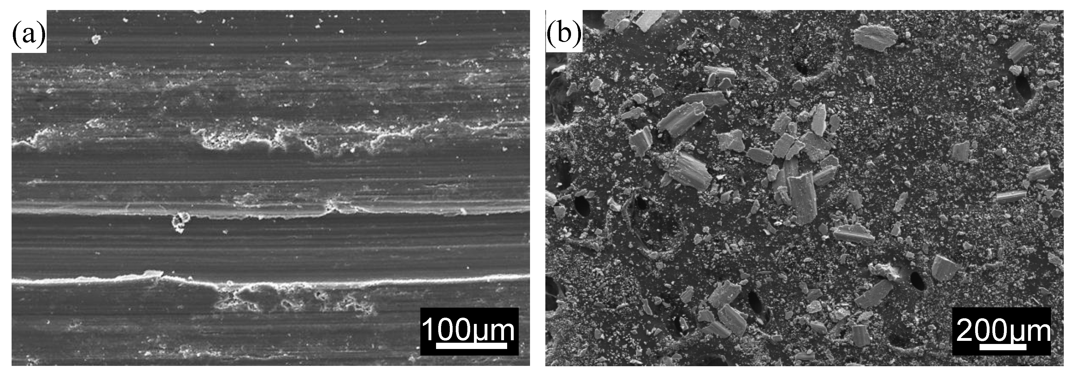 Crystals 10 00296 g011a
