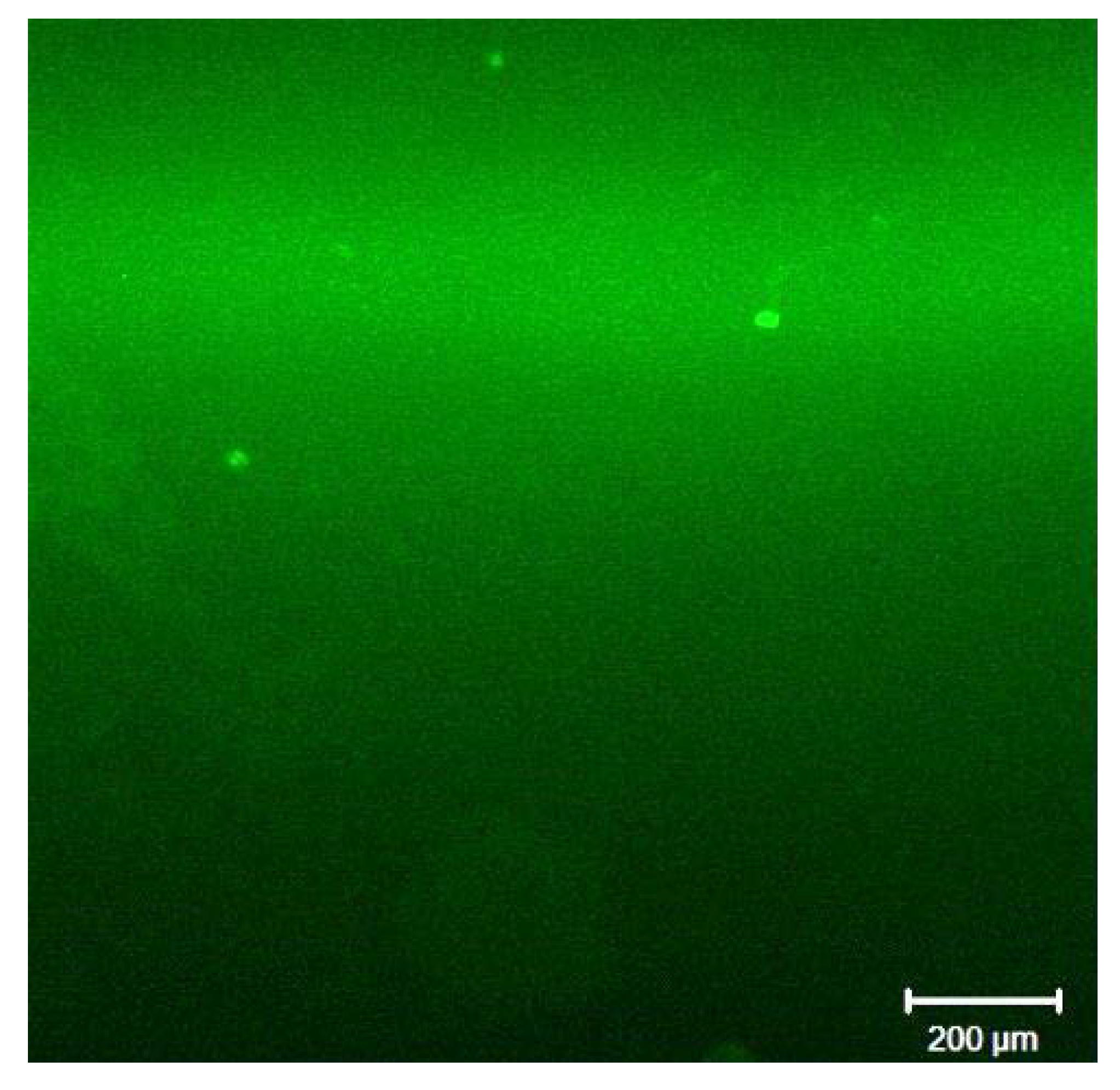 Crystals 10 00309 g005