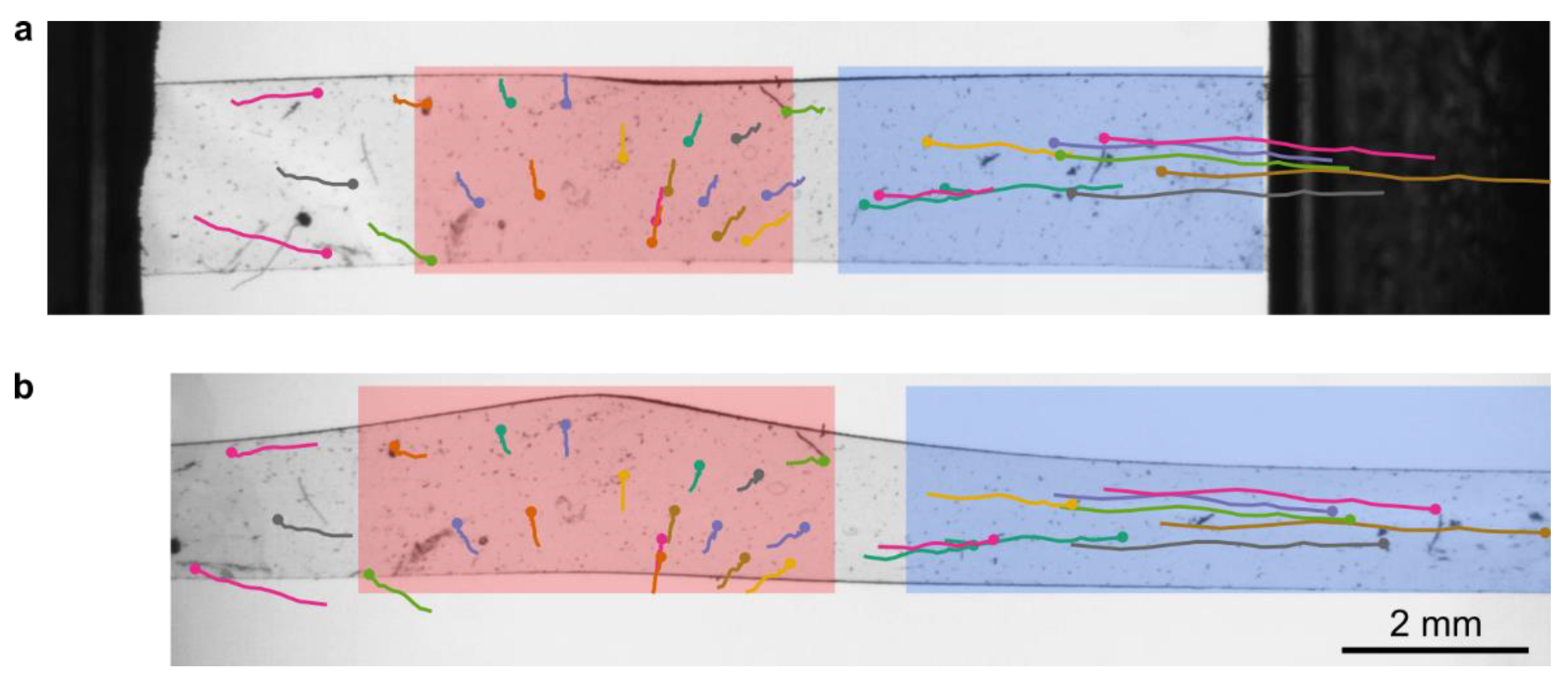 Crystals 10 00315 g003 Crystals 10 00315 g003