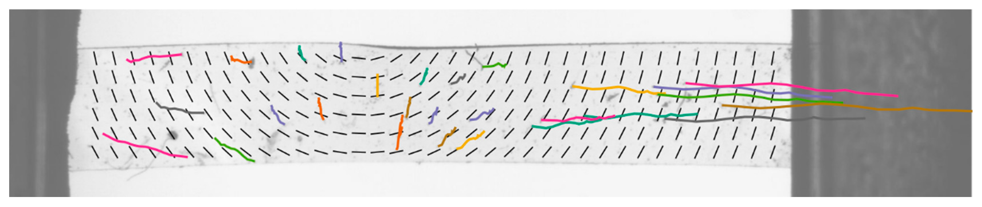Crystals 10 00315 g006 Crystals 10 00315 g006
