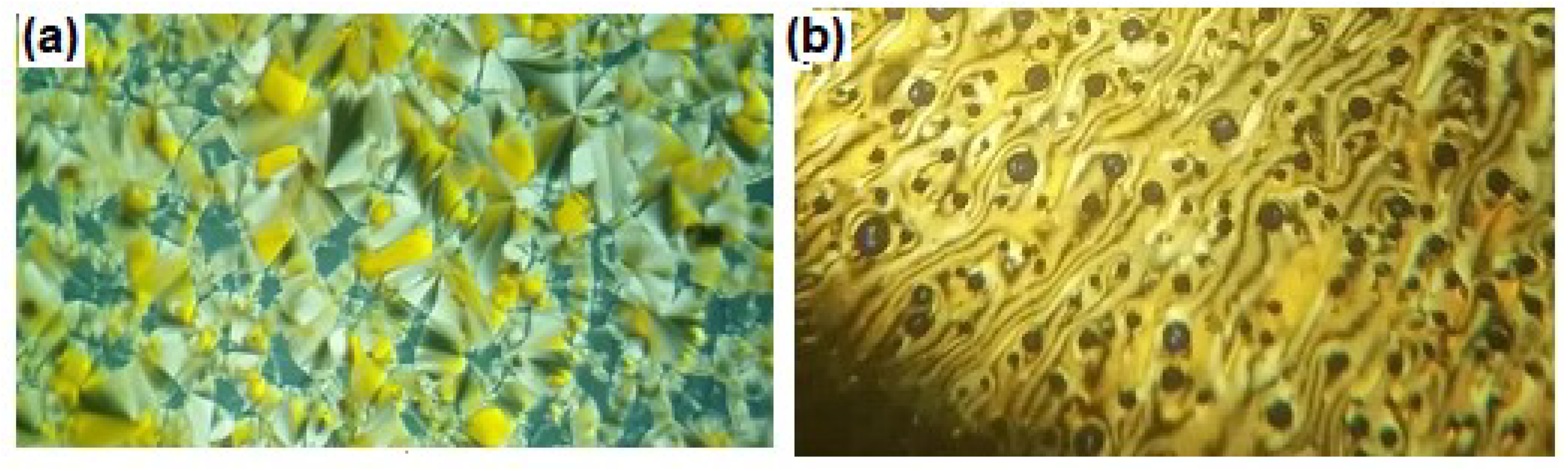 Crystals 10 00319 g002 Crystals 10 00319 g002