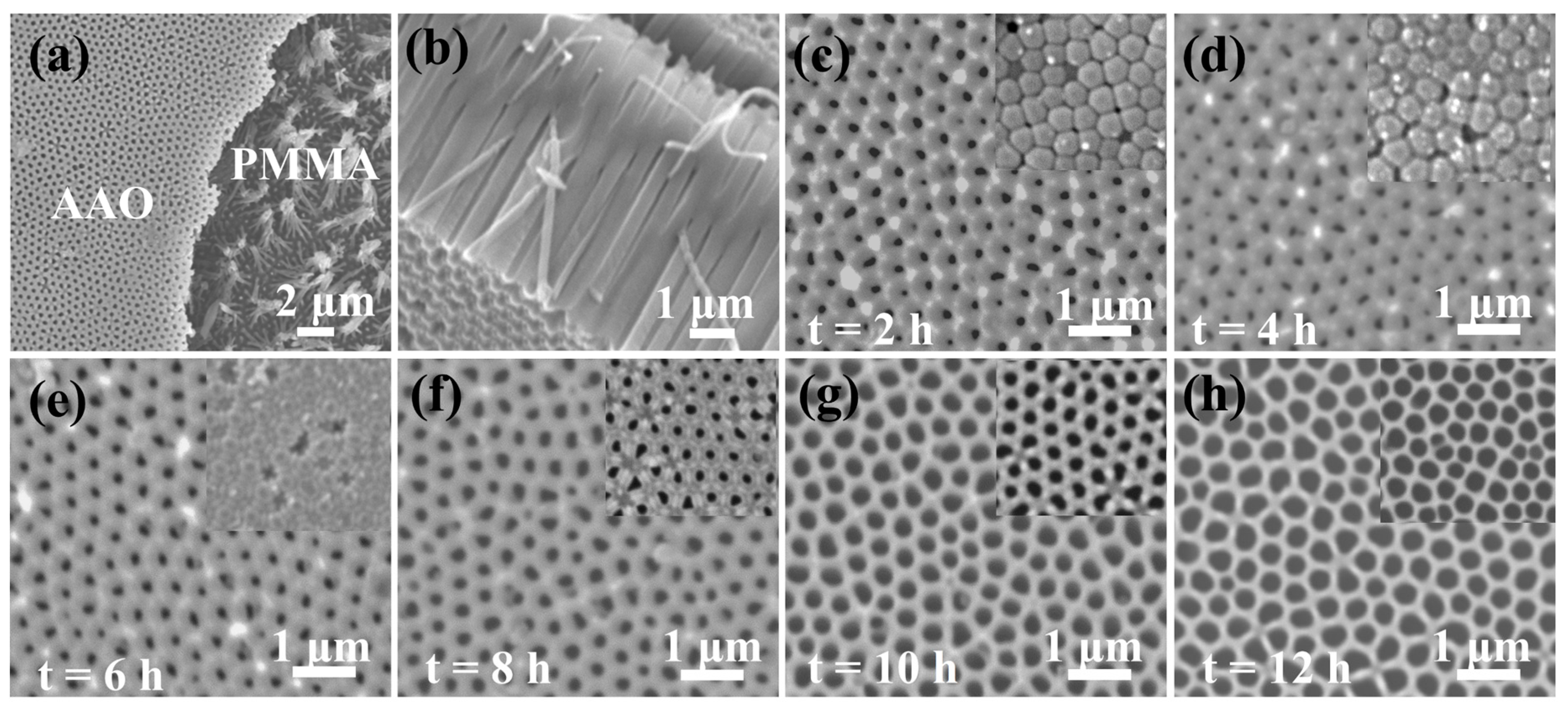 Crystals 10 00331 g007 Crystals 10 00331 g007