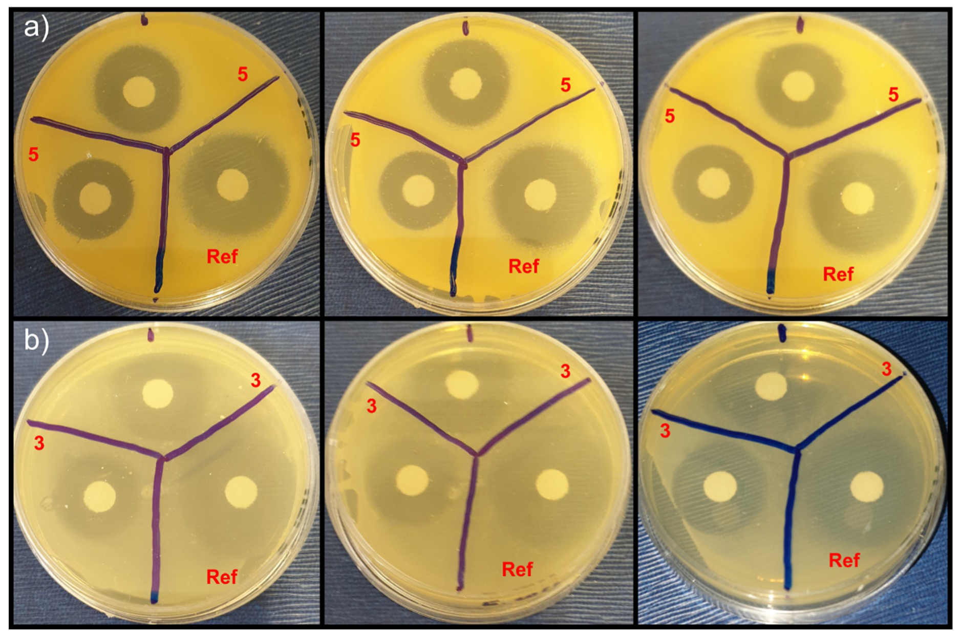 Crystals 10 00339 g004 Crystals 10 00339 g004