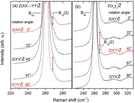Symmetry of the Optical Phonons in LuVO4: A Raman Study