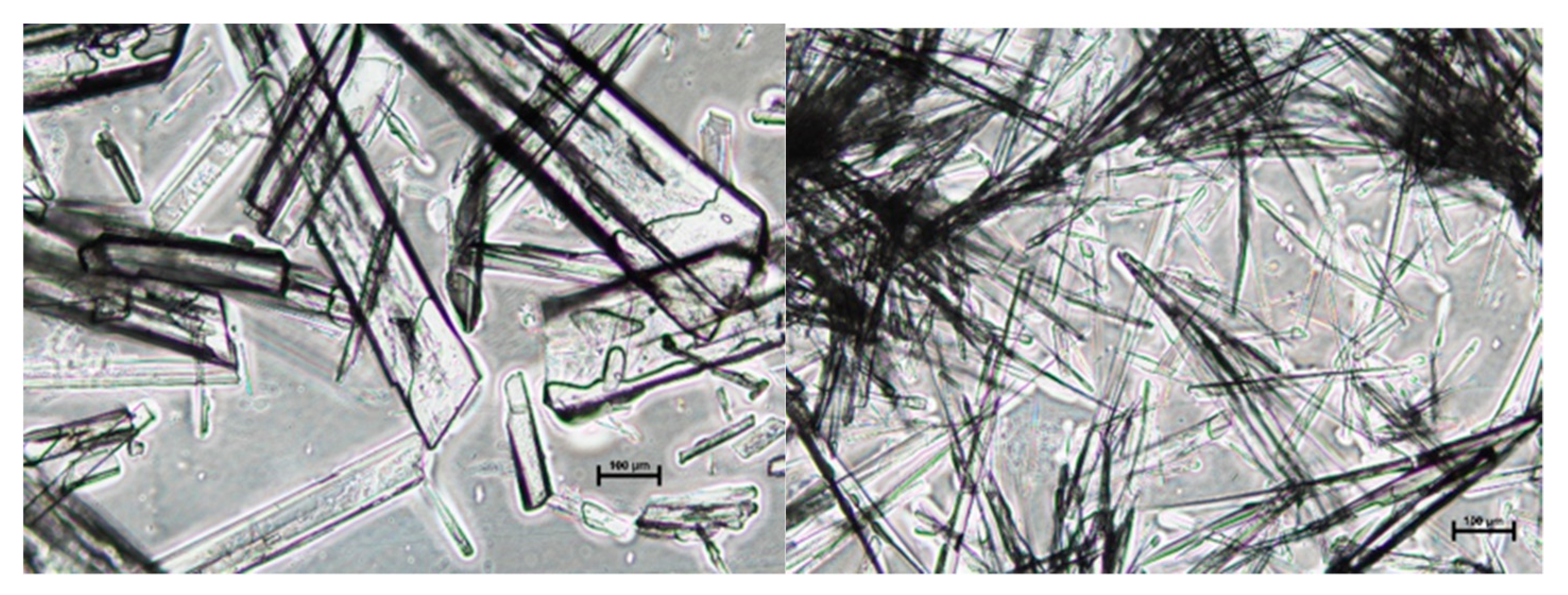 Crystals 10 00345 g007