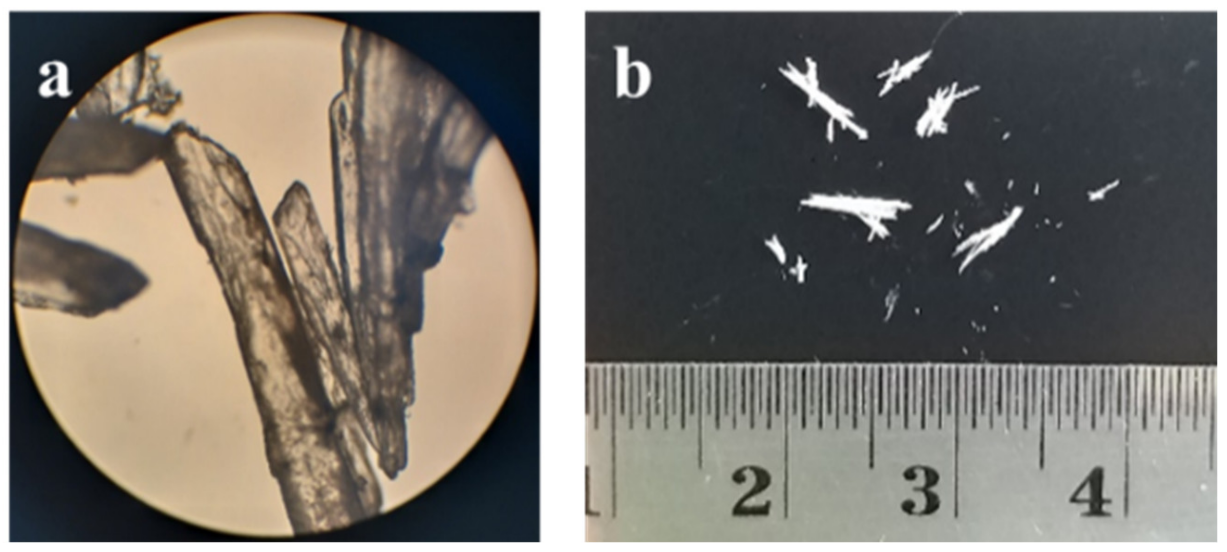 Crystals 10 00349 g002