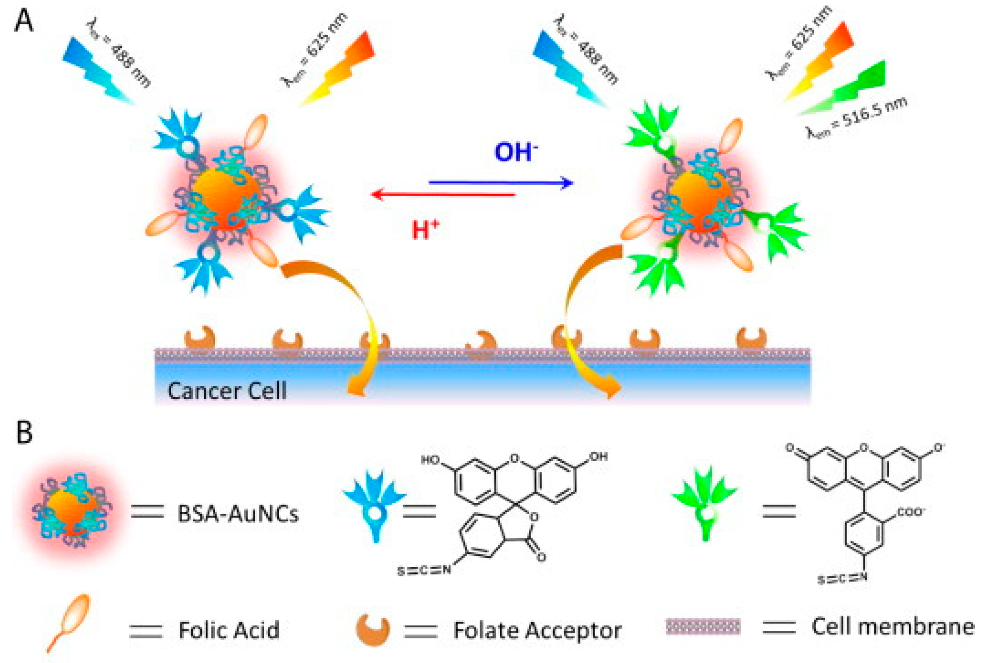 Crystals 10 00357 g005