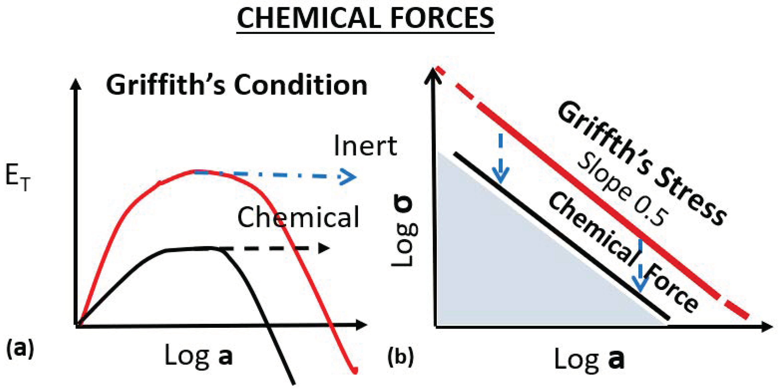 Crystals 10 00358 g007