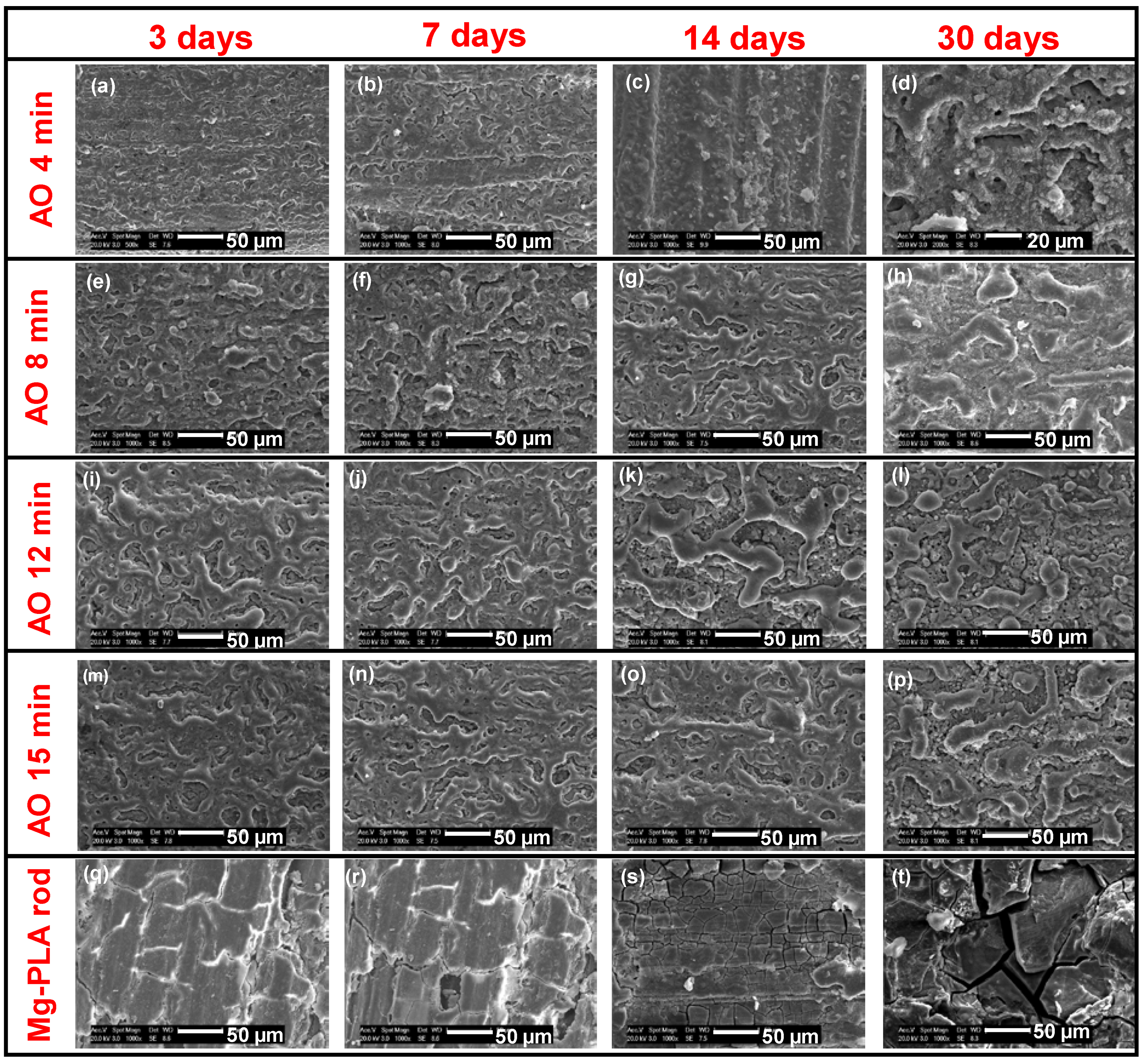 Crystals 10 00381 g010 Crystals 10 00381 g010