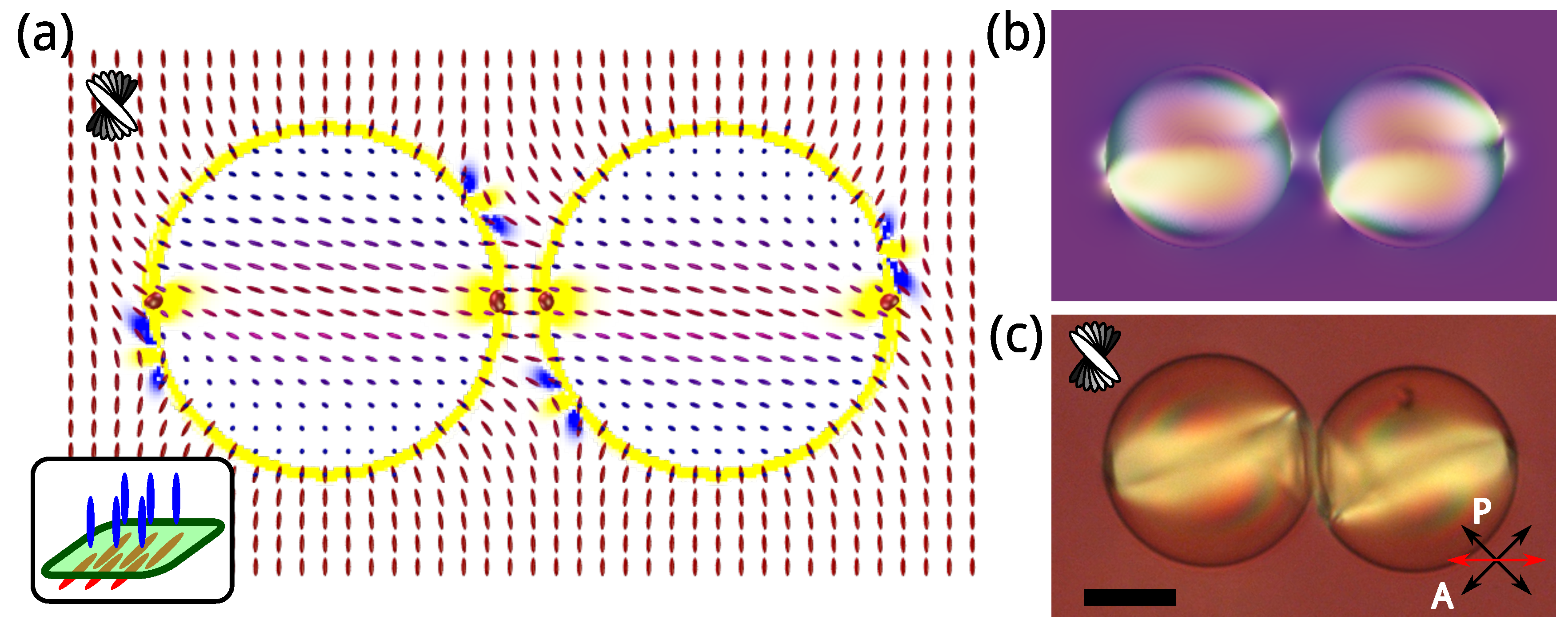 Crystals 10 00393 g004