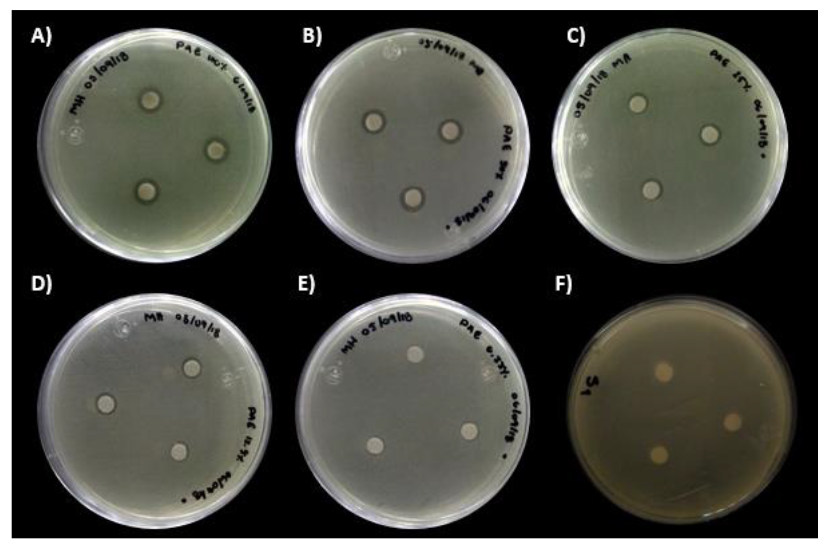 Crystals 10 00395 g007