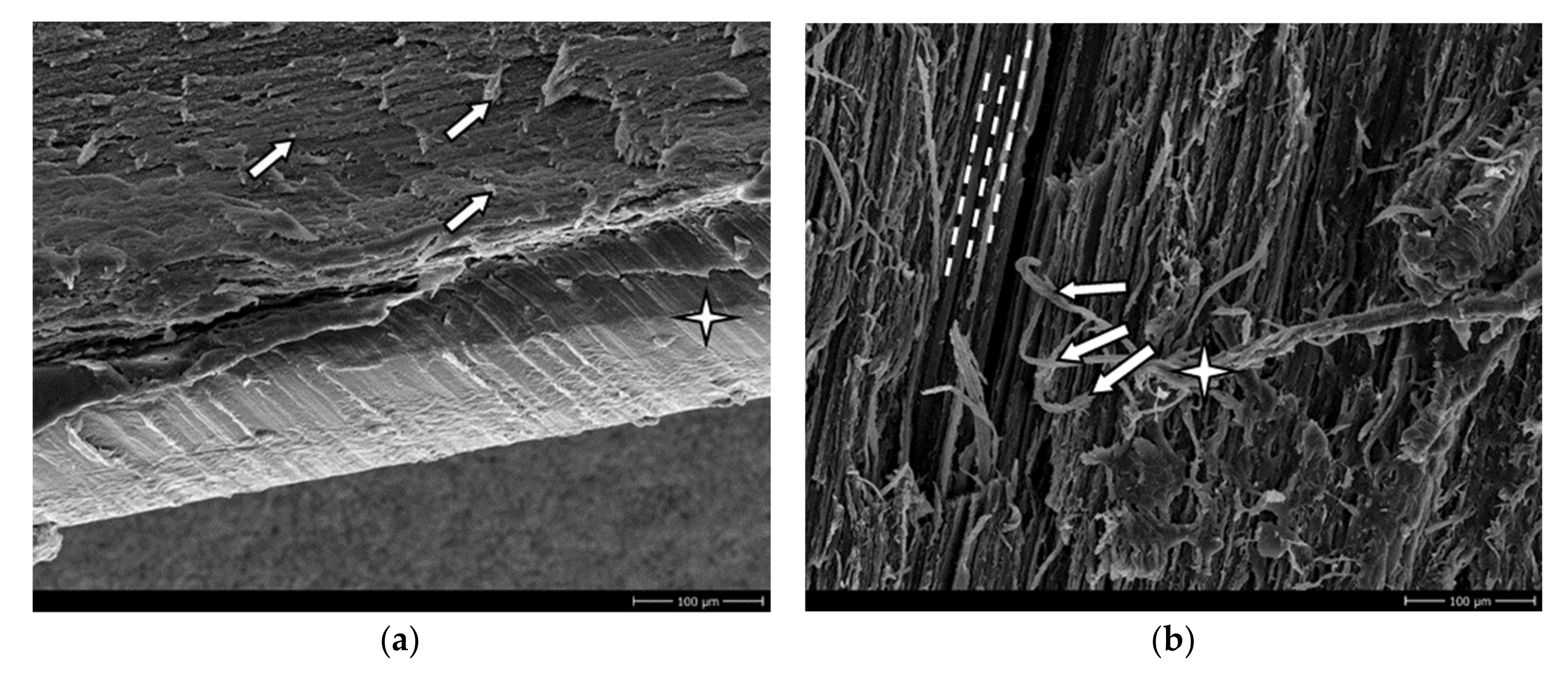 Crystals 10 00398 g007a