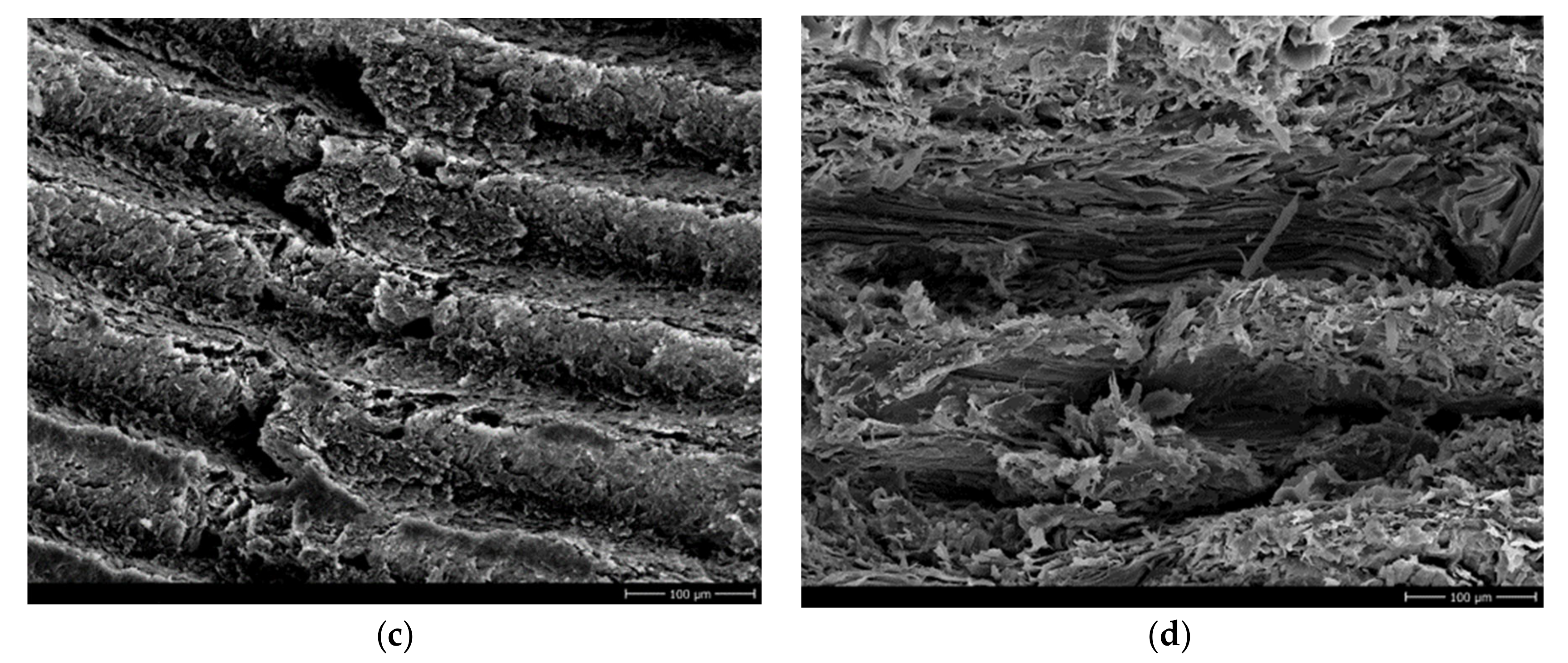 Crystals 10 00398 g007b