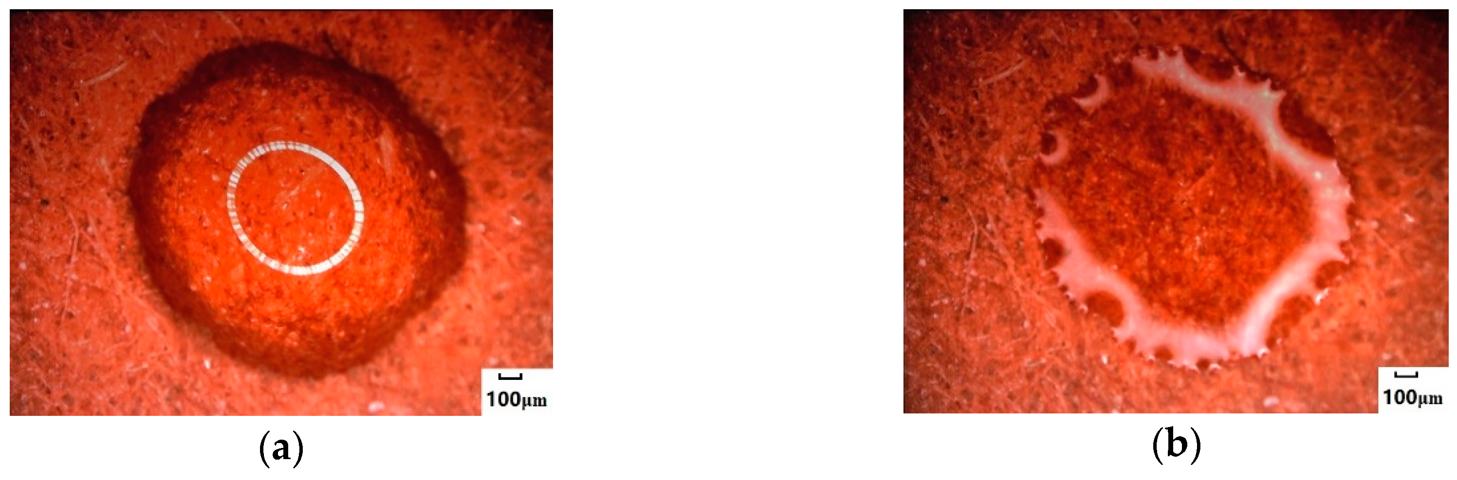 Crystals 10 00444 g003a