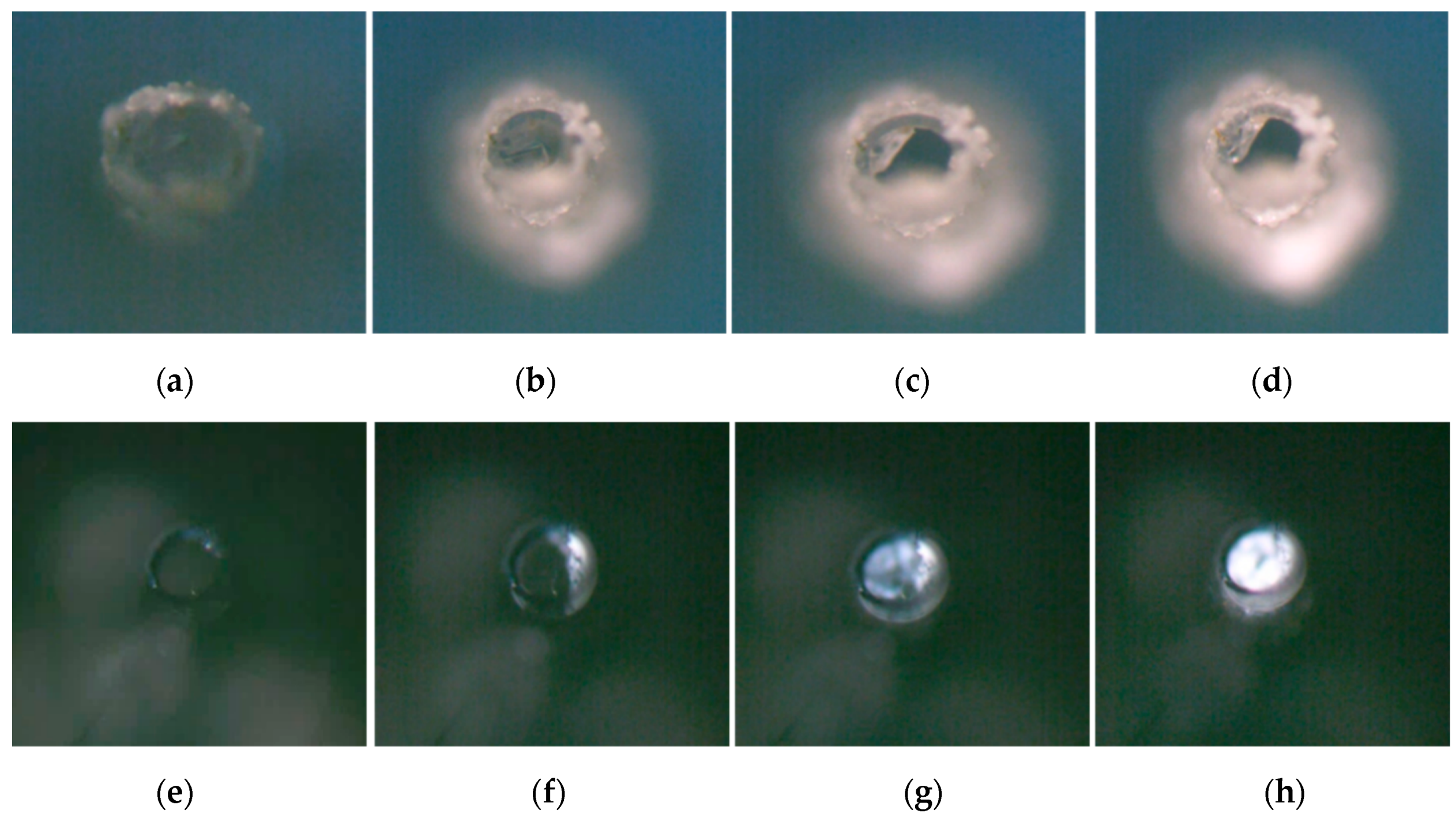 Crystals 10 00444 g005