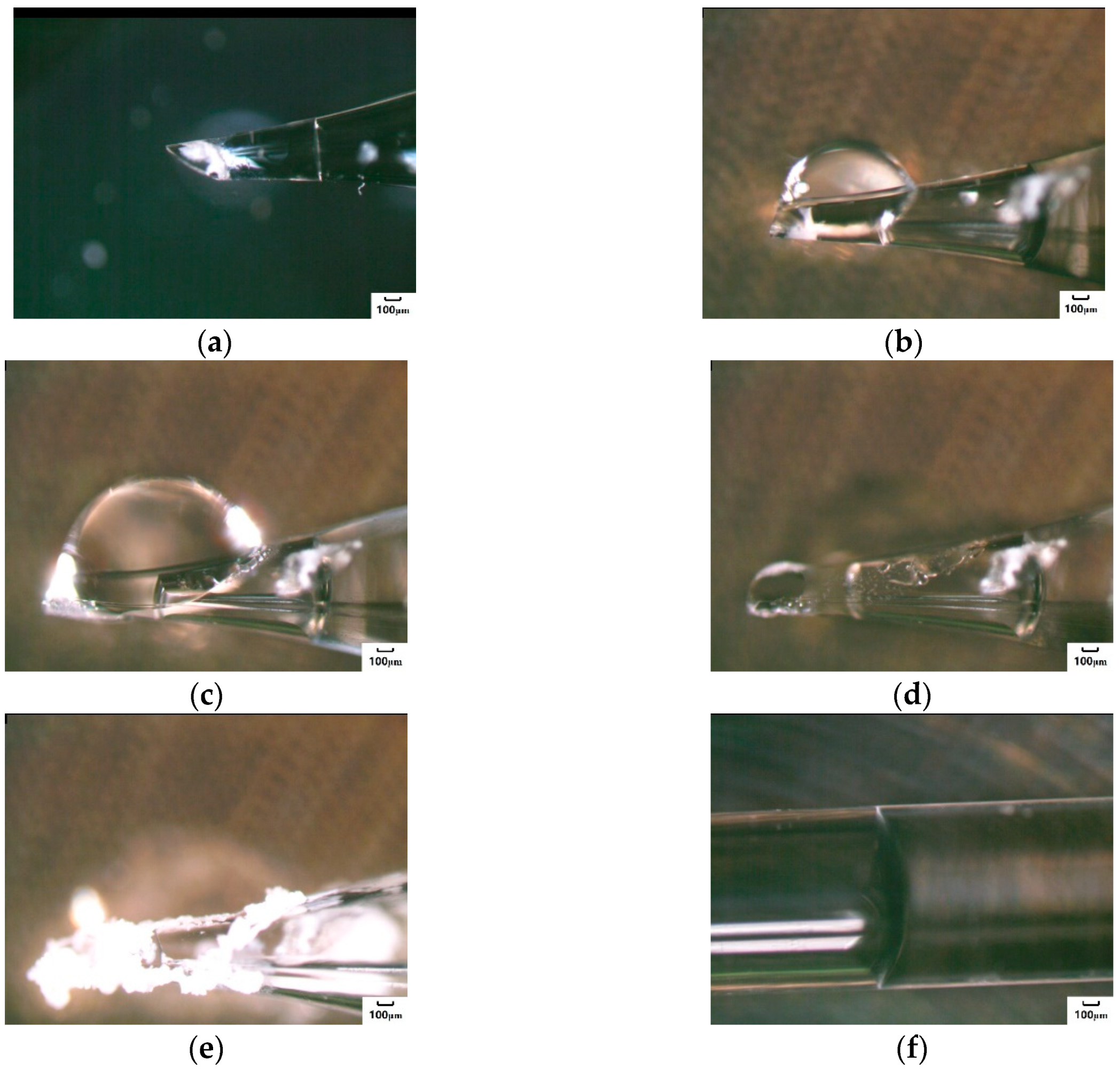 Crystals 10 00444 g006