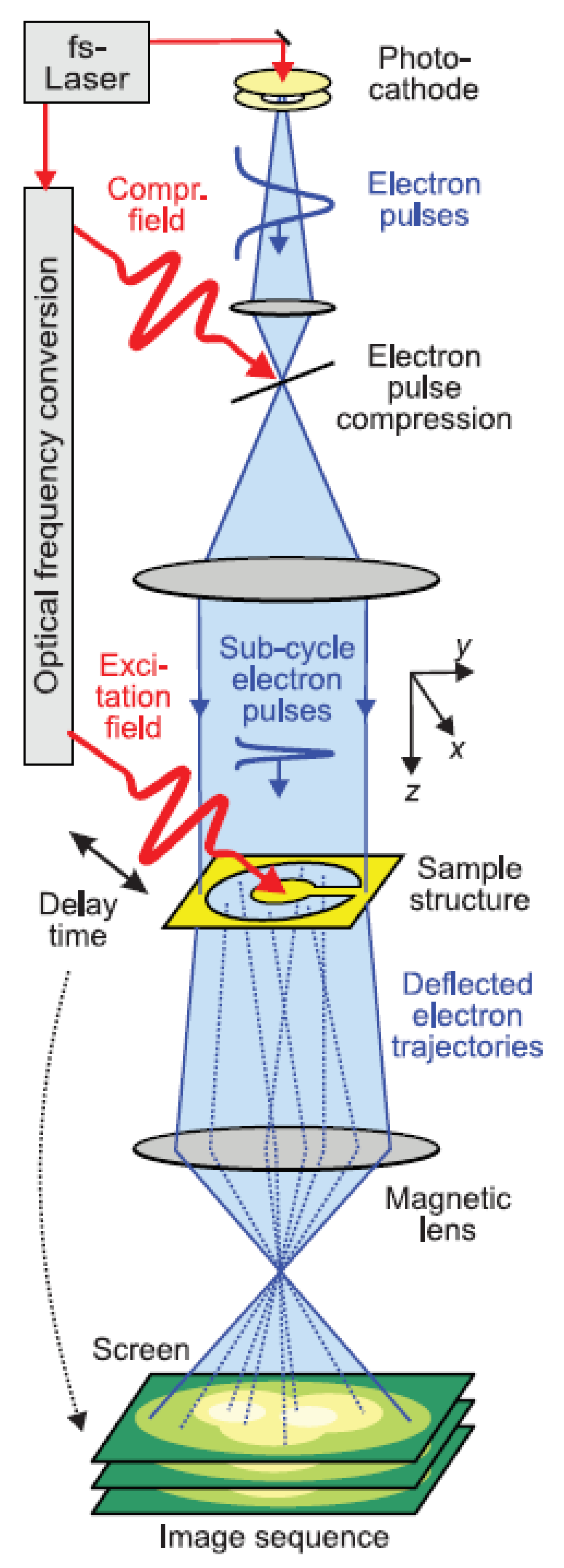 scanning electron microscope block diagram