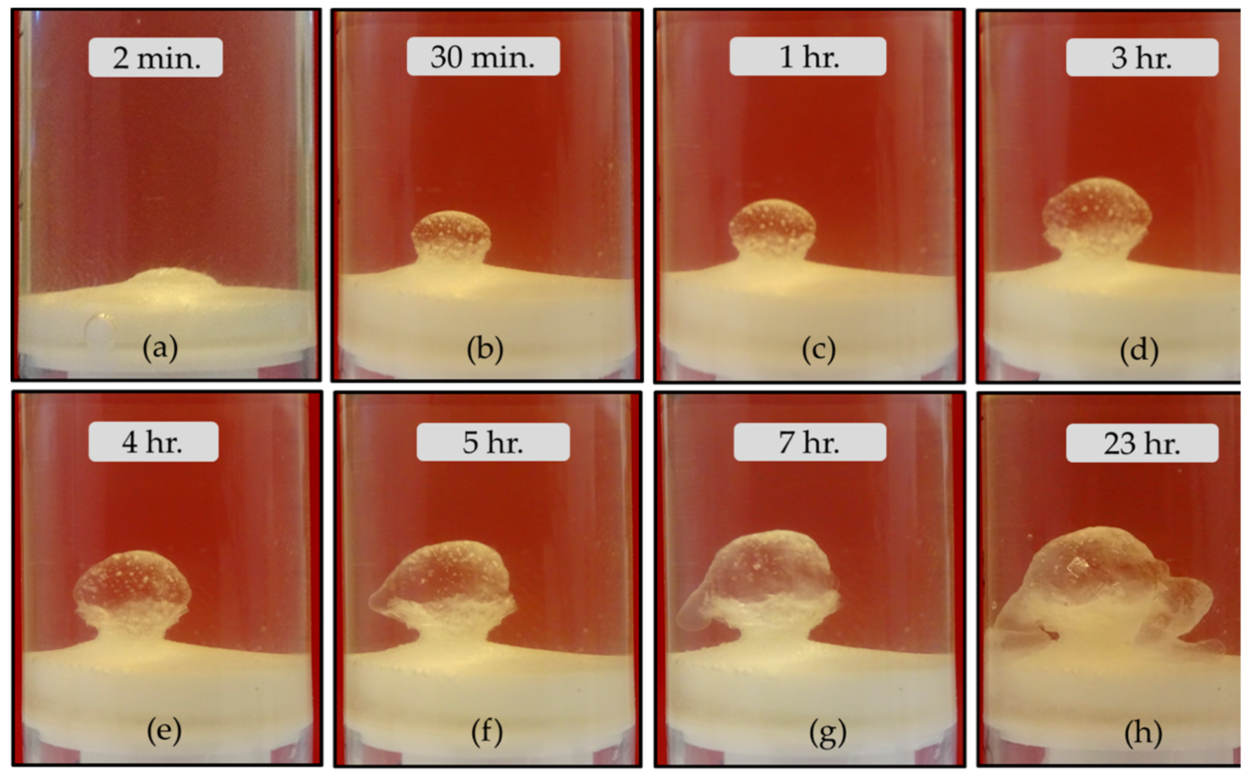 Crystals 10 00467 g001 Crystals 10 00467 g001