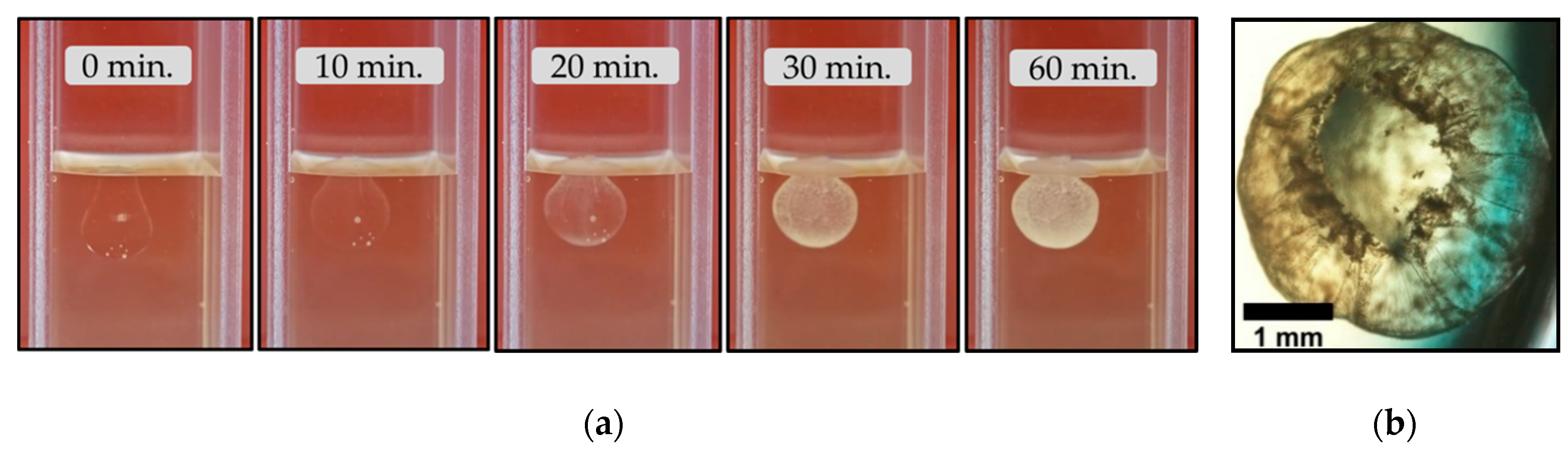 Crystals 10 00467 g003 Crystals 10 00467 g003