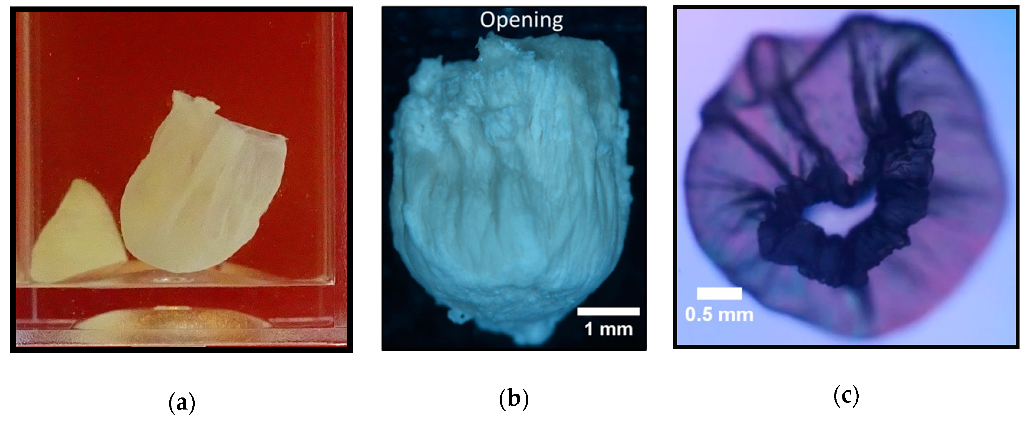Crystals 10 00467 g007 Crystals 10 00467 g007