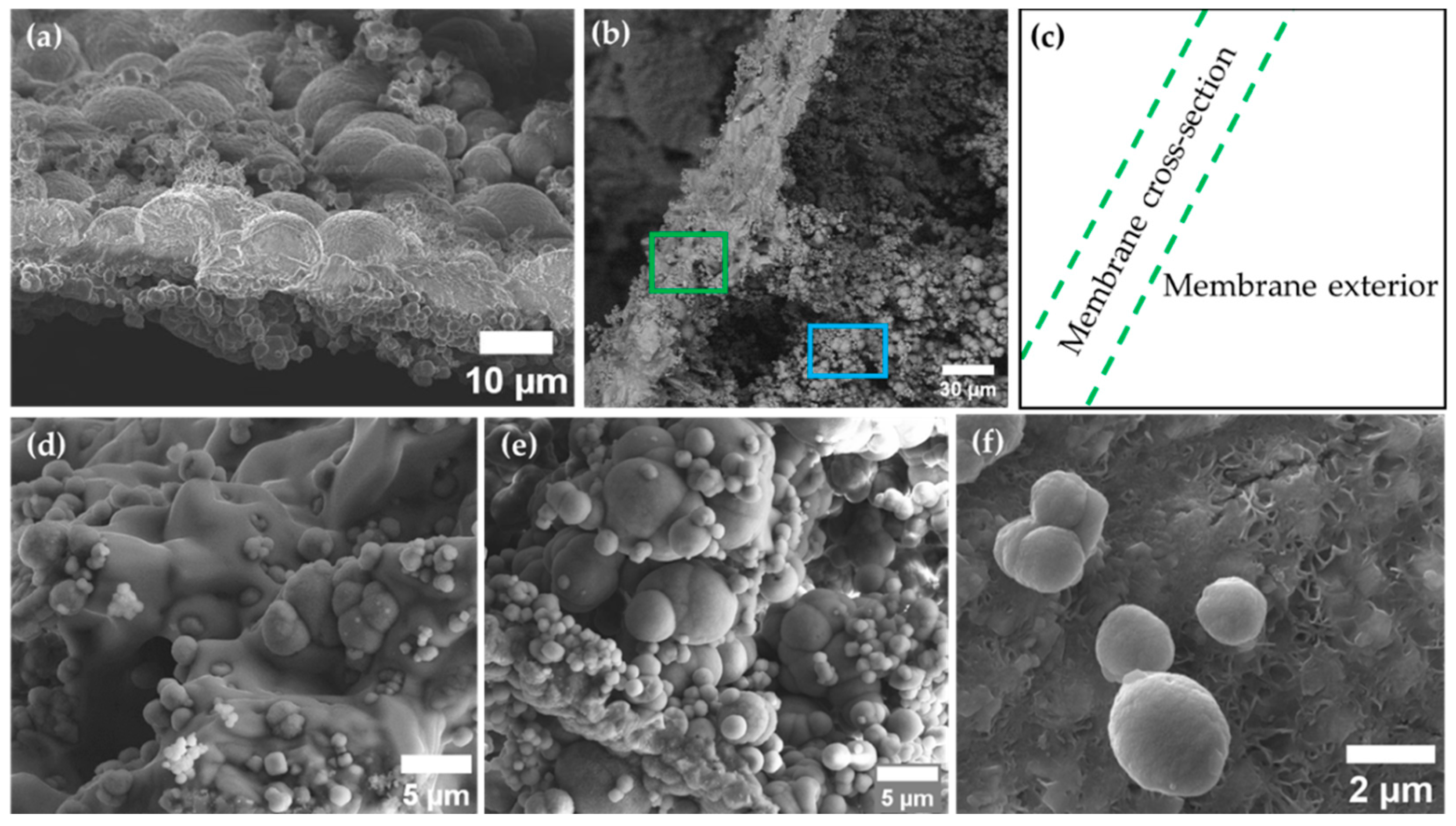 Crystals 10 00467 g011 Crystals 10 00467 g011