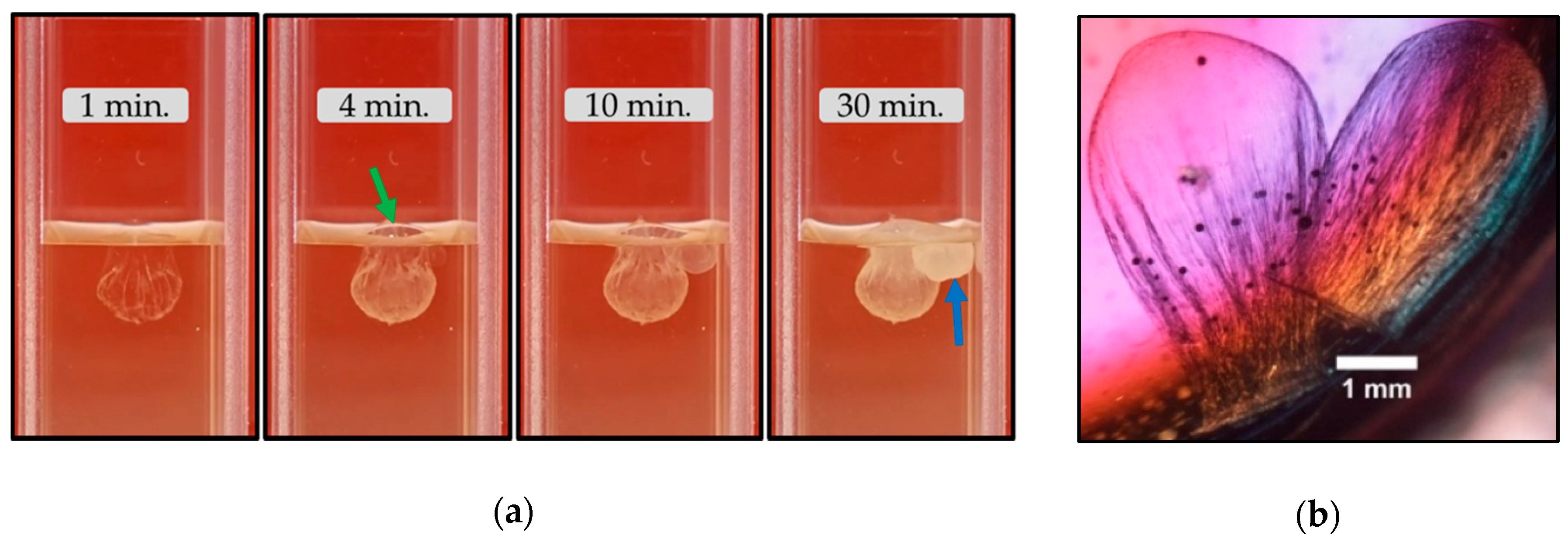 Crystals 10 00467 g013 Crystals 10 00467 g013