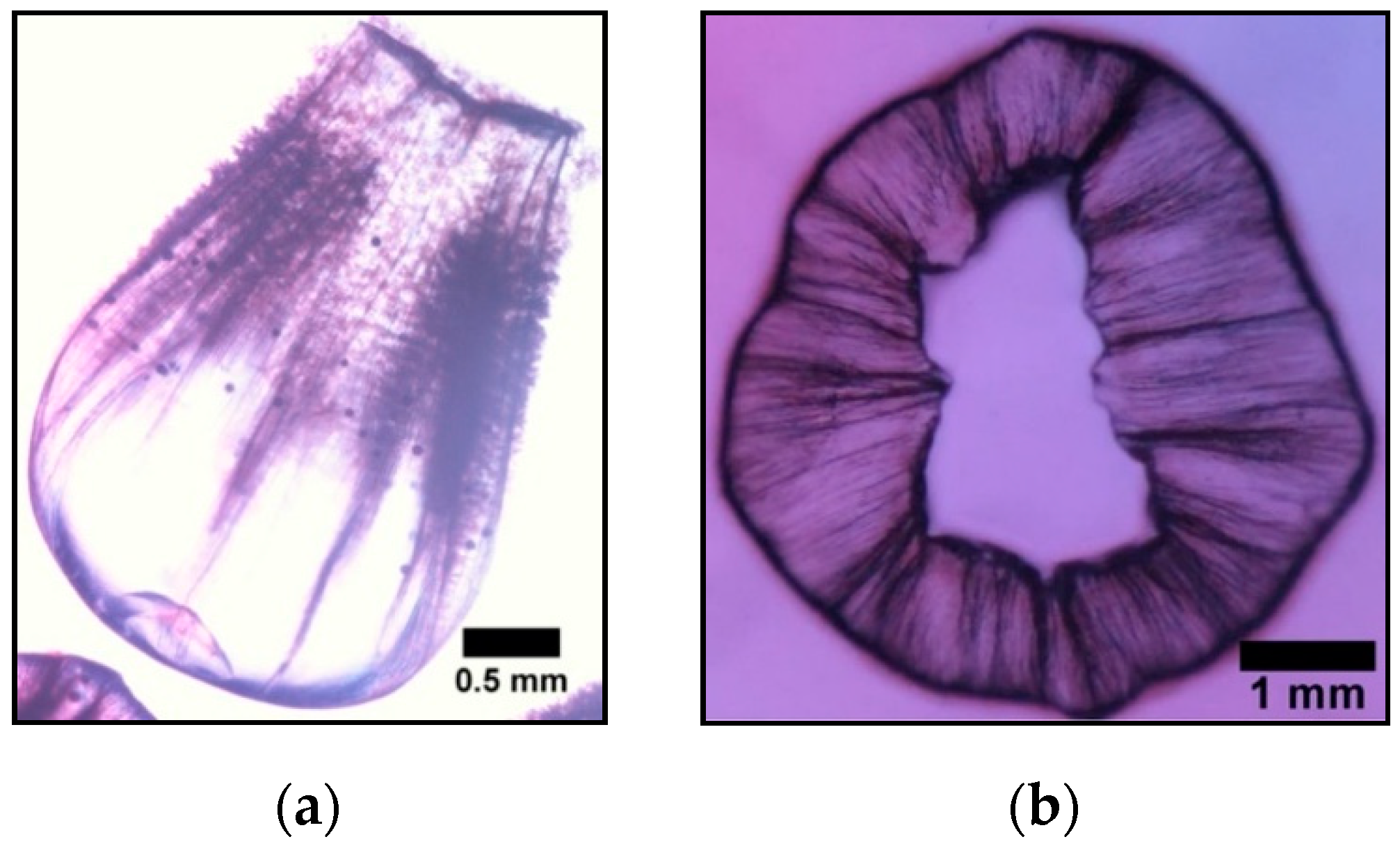 Crystals 10 00467 g014 Crystals 10 00467 g014