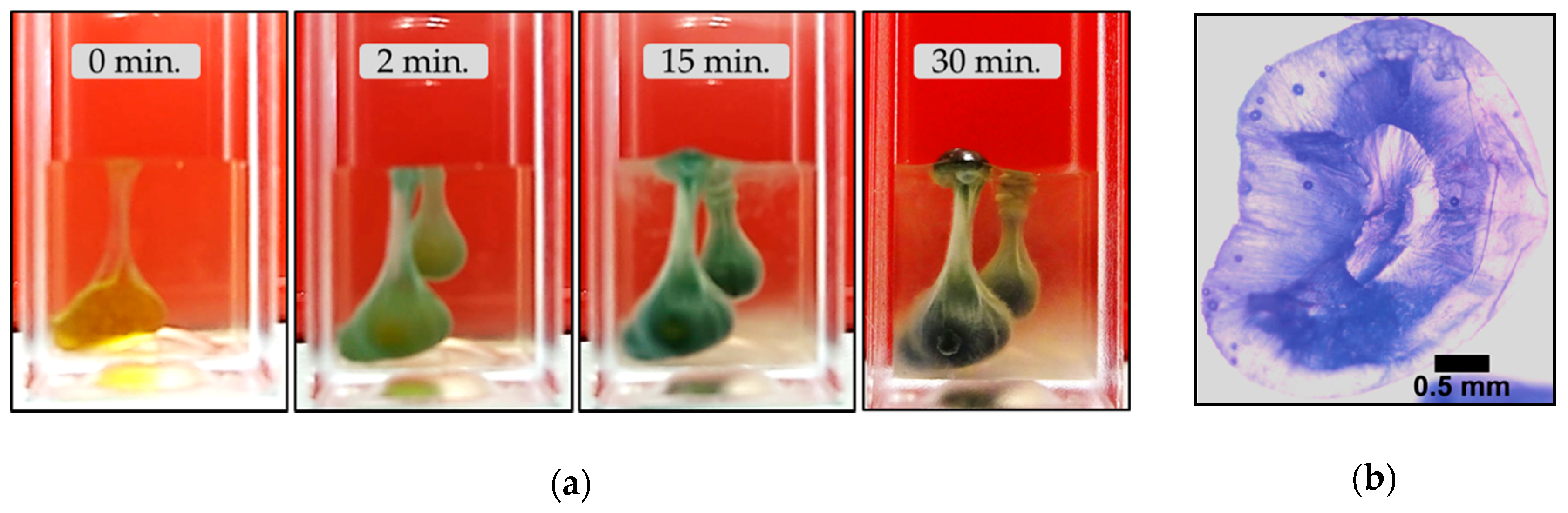Crystals 10 00467 g015 Crystals 10 00467 g015