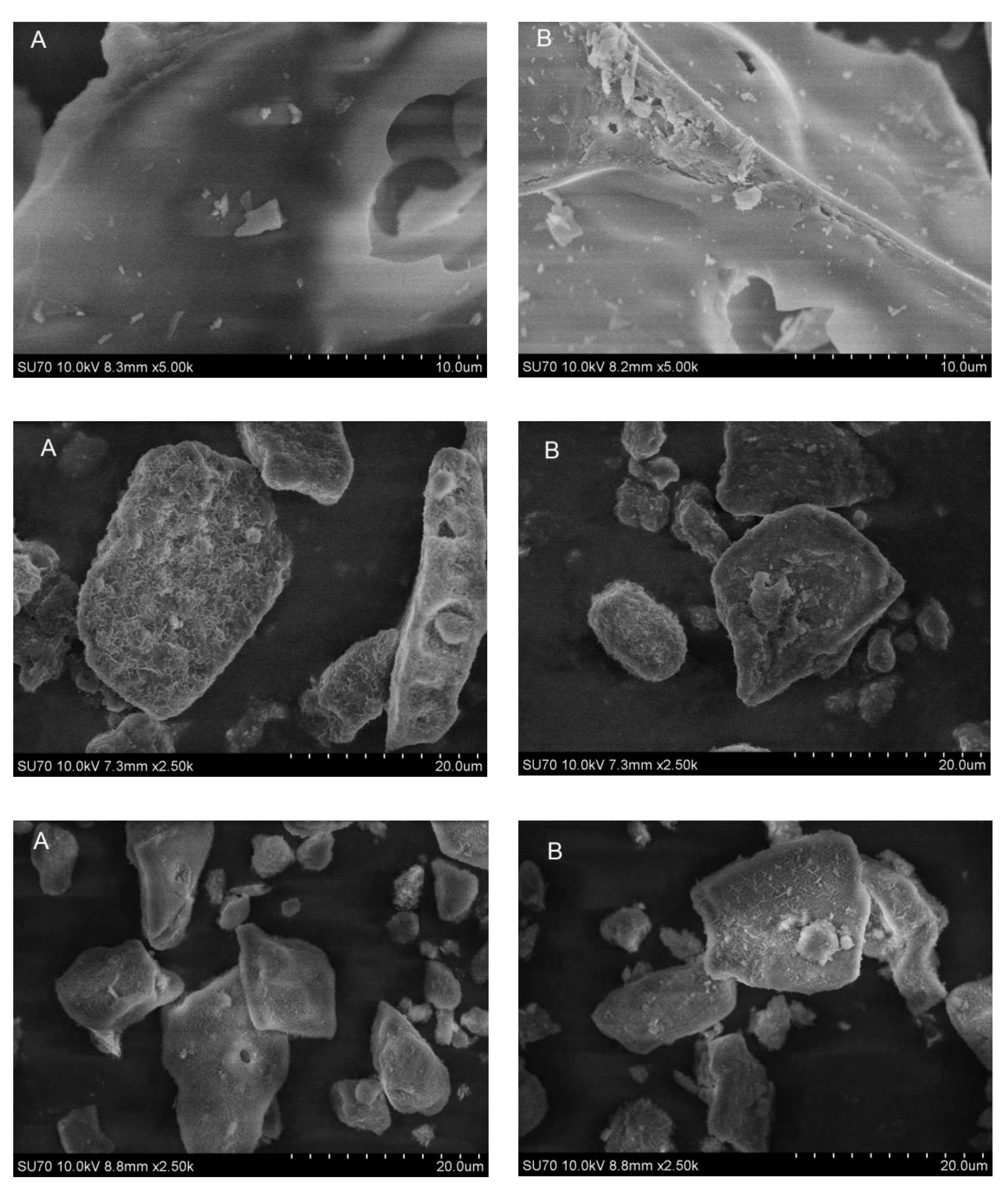 Crystals 10 00470 g009 Crystals 10 00470 g009