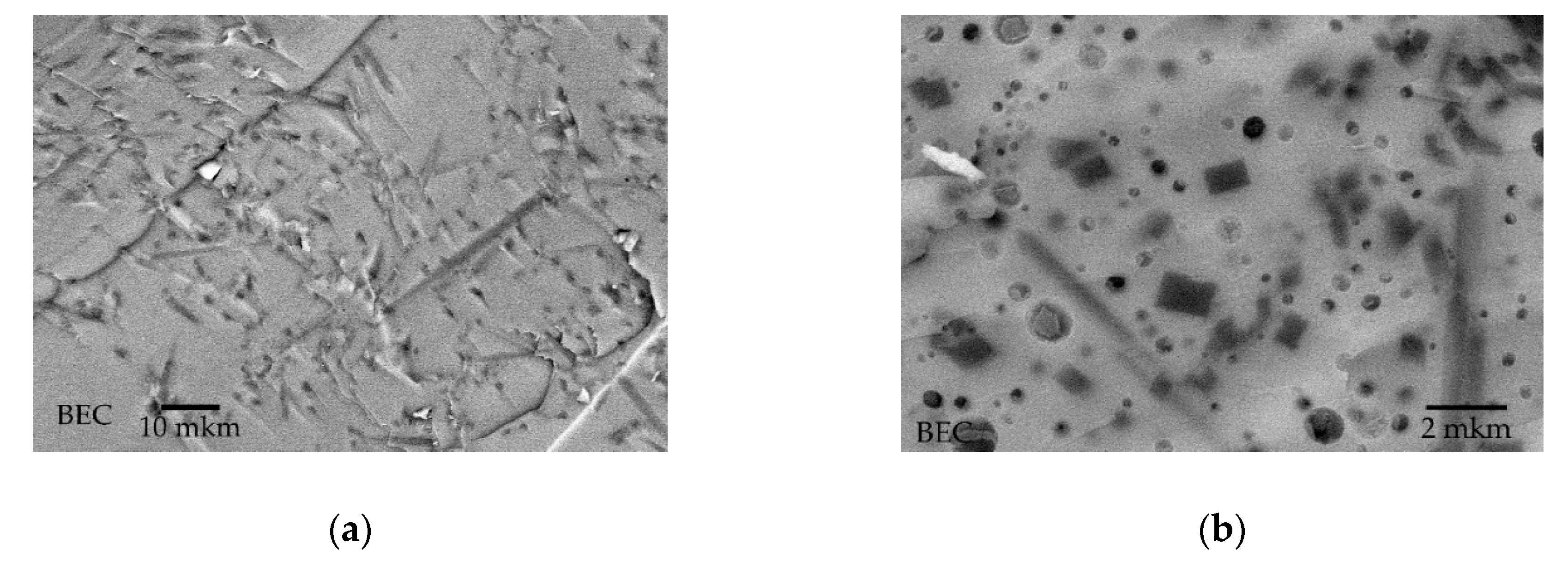 Crystals 10 00487 g014