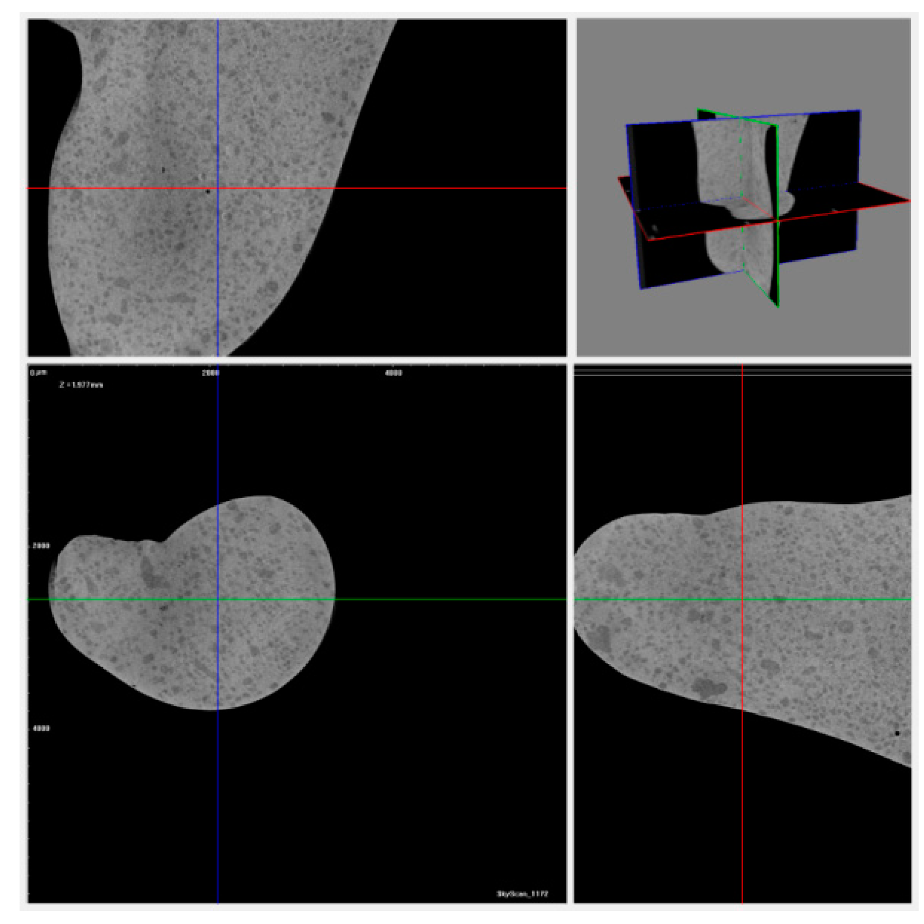 Crystals 10 00487 g016