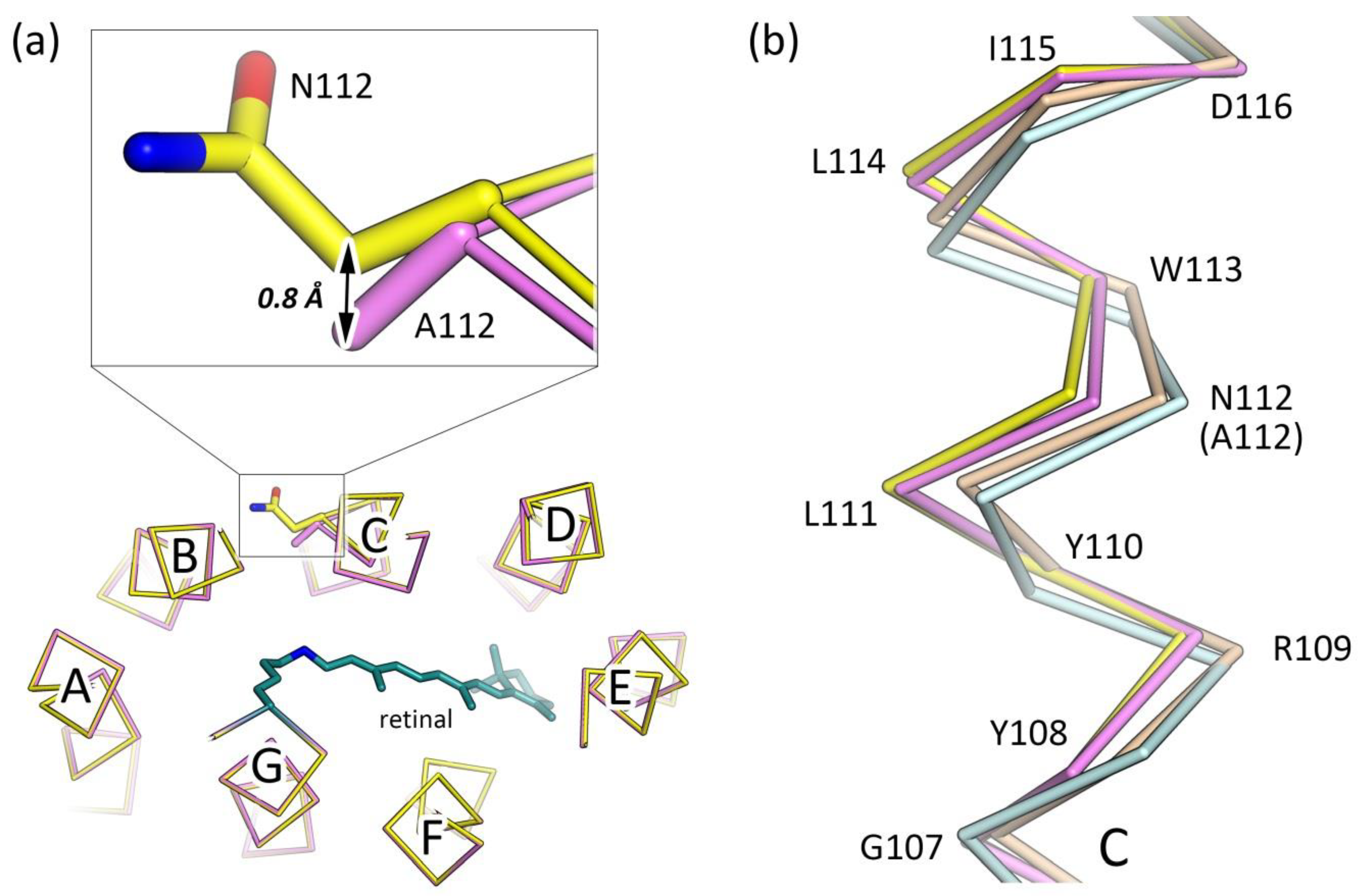 Crystals 10 00496 g002 Crystals 10 00496 g002