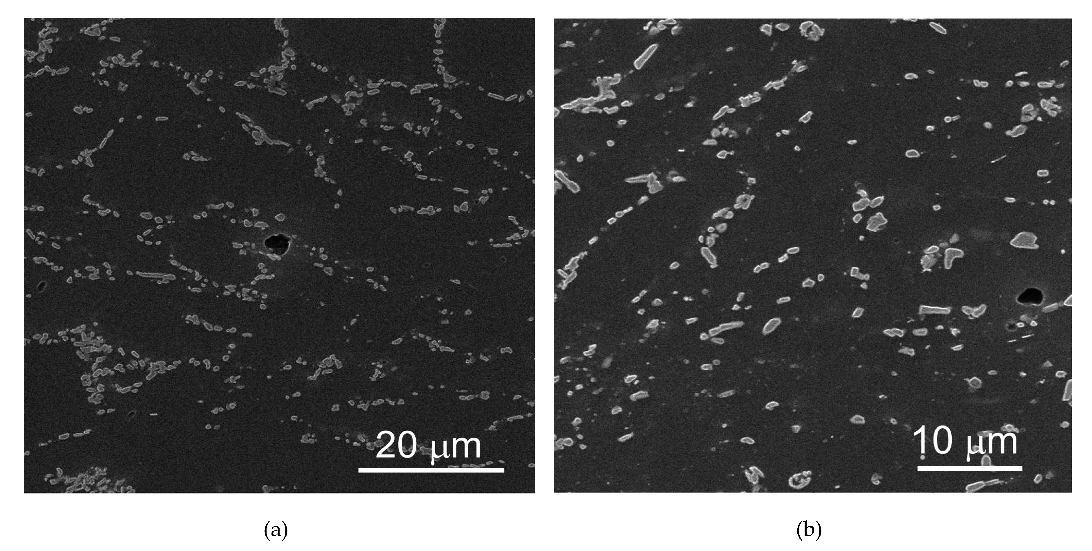 Crystals 10 00497 g005