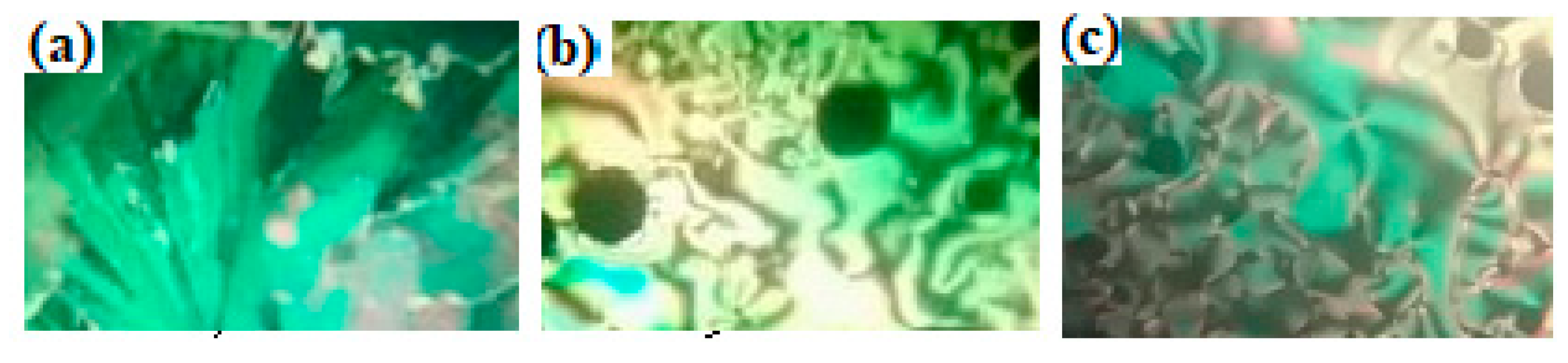 Crystals 10 00499 g002 Crystals 10 00499 g002