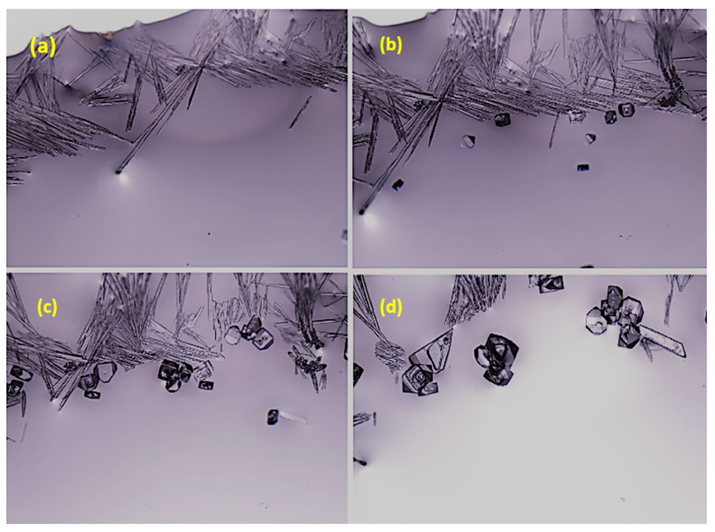 Crystals 10 00511 g004