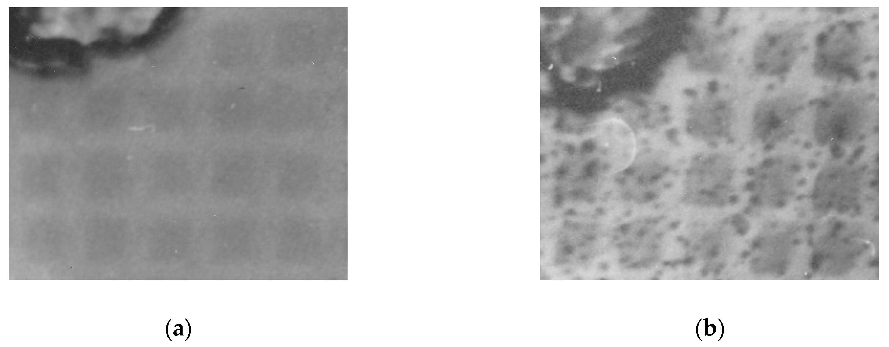 Crystals 10 00523 g007