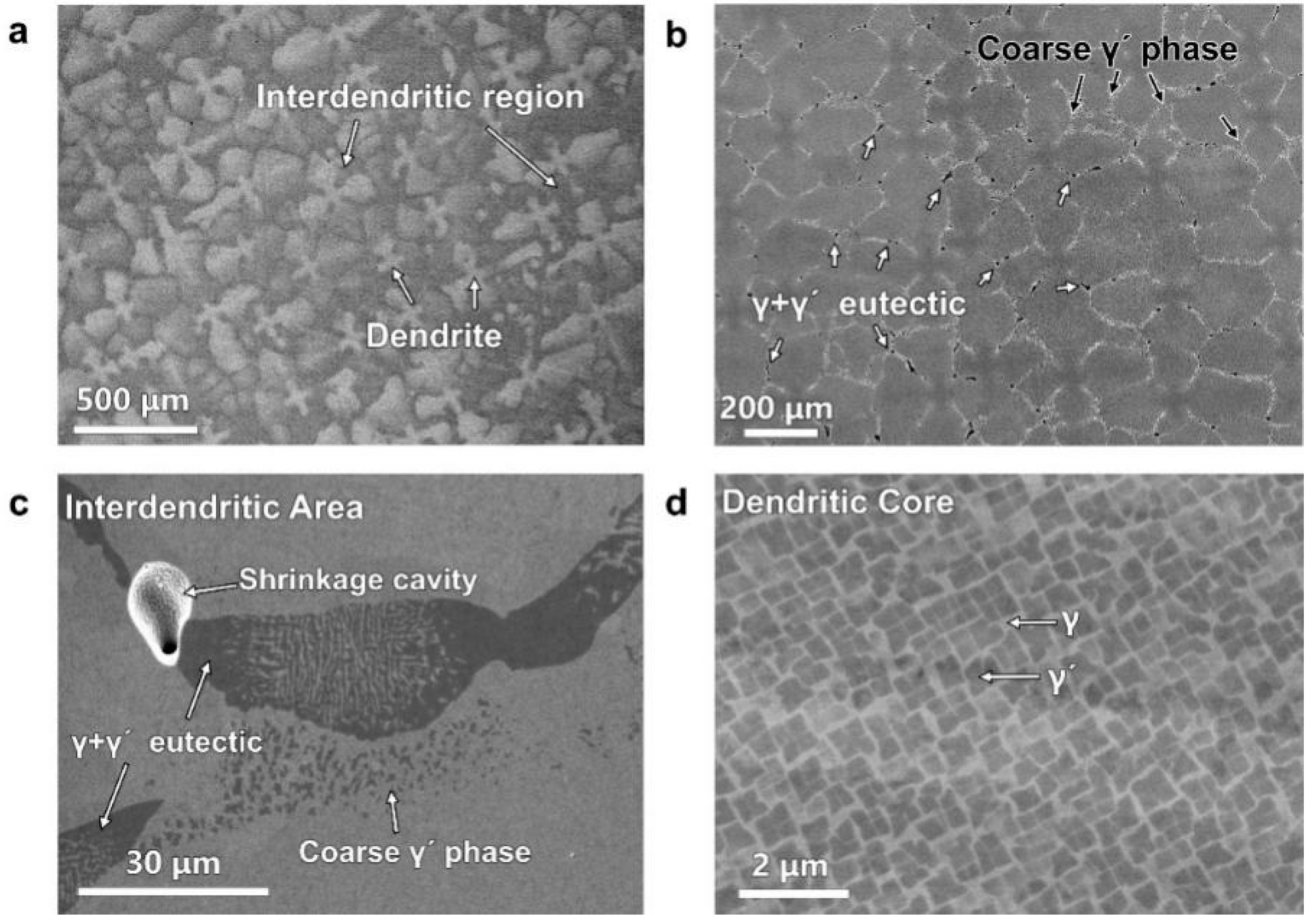 Crystals 10 00572 g002