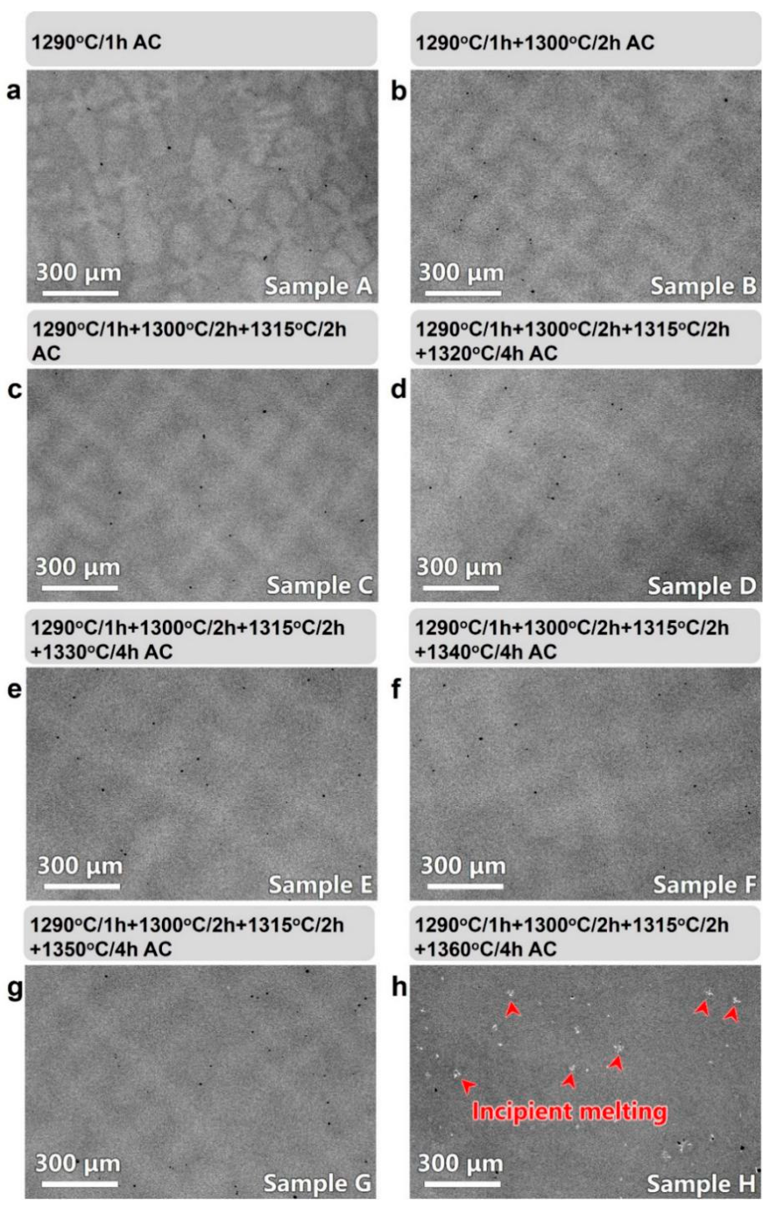 Crystals 10 00572 g005