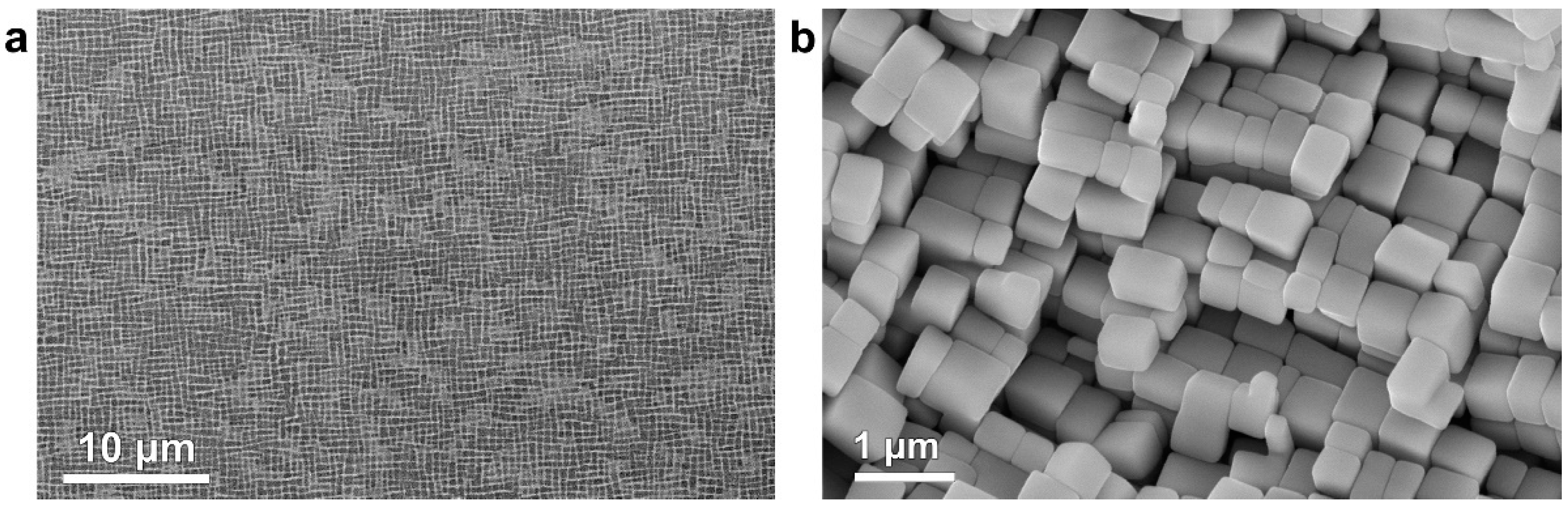 Crystals 10 00572 g007