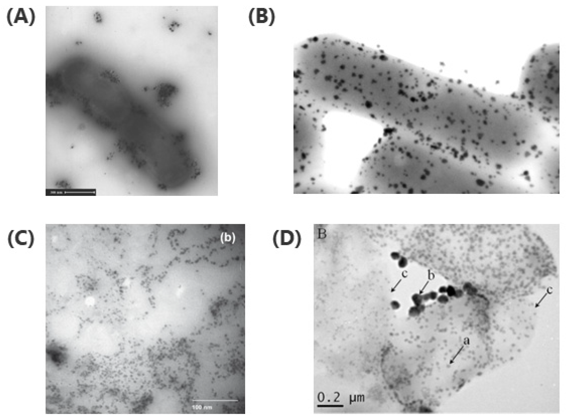 Crystals 10 00589 g001 Crystals 10 00589 g001