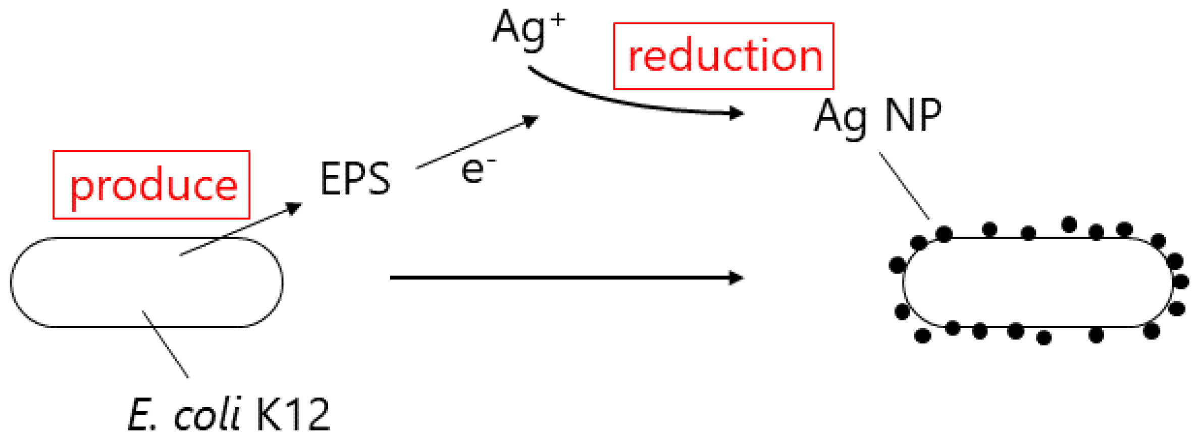 Crystals 10 00589 g005 Crystals 10 00589 g005