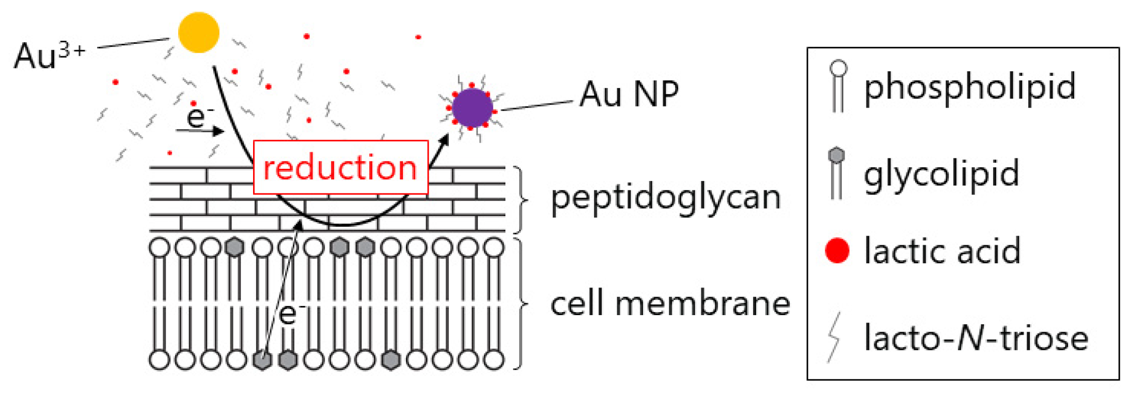 Crystals 10 00589 g006 Crystals 10 00589 g006