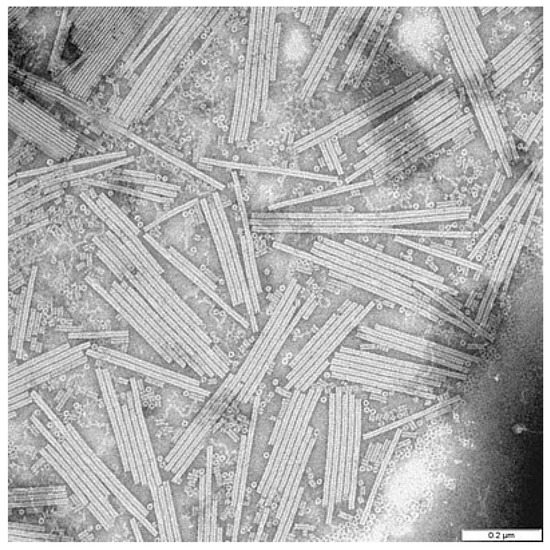 Novel Trends in Lyotropic Liquid Crystals