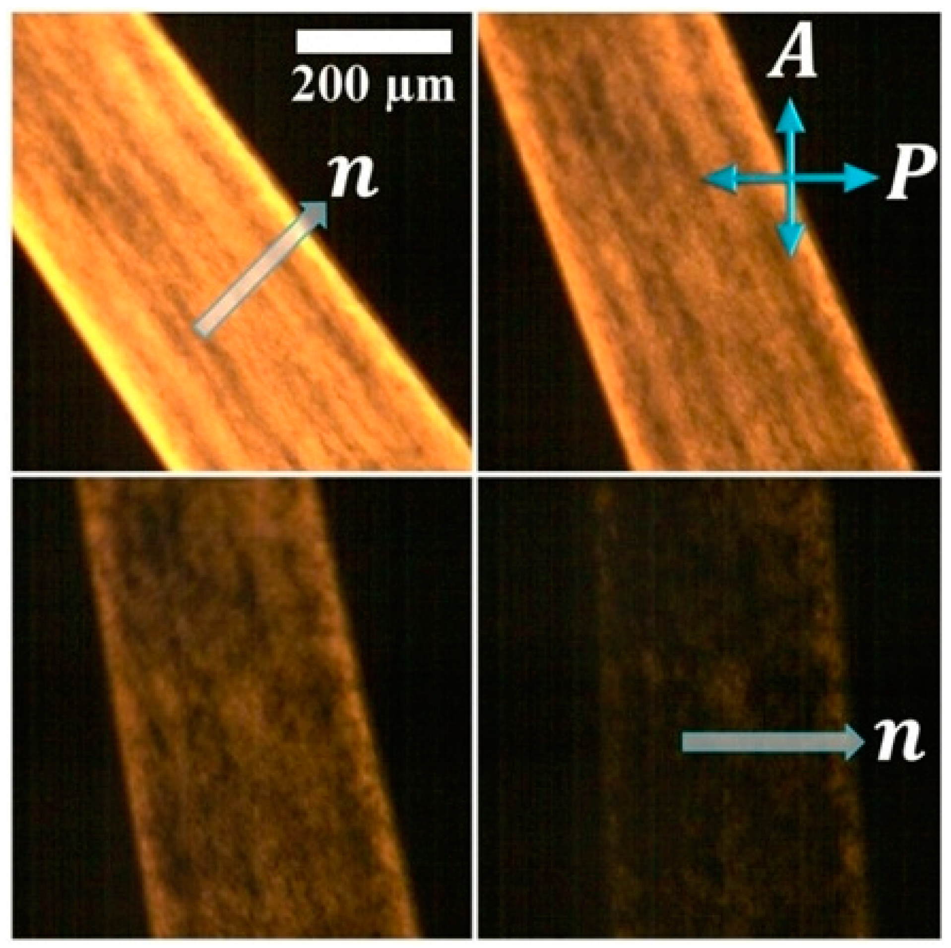 Crystals 10 00604 g010 Crystals 10 00604 g010